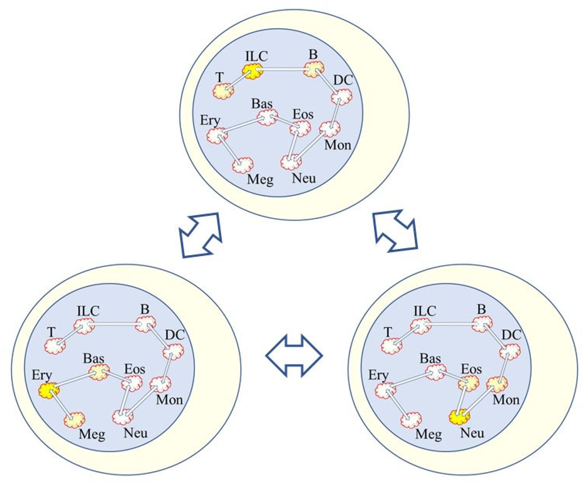 Ijms 23 13570 g002 Ijms 23 13570 g002