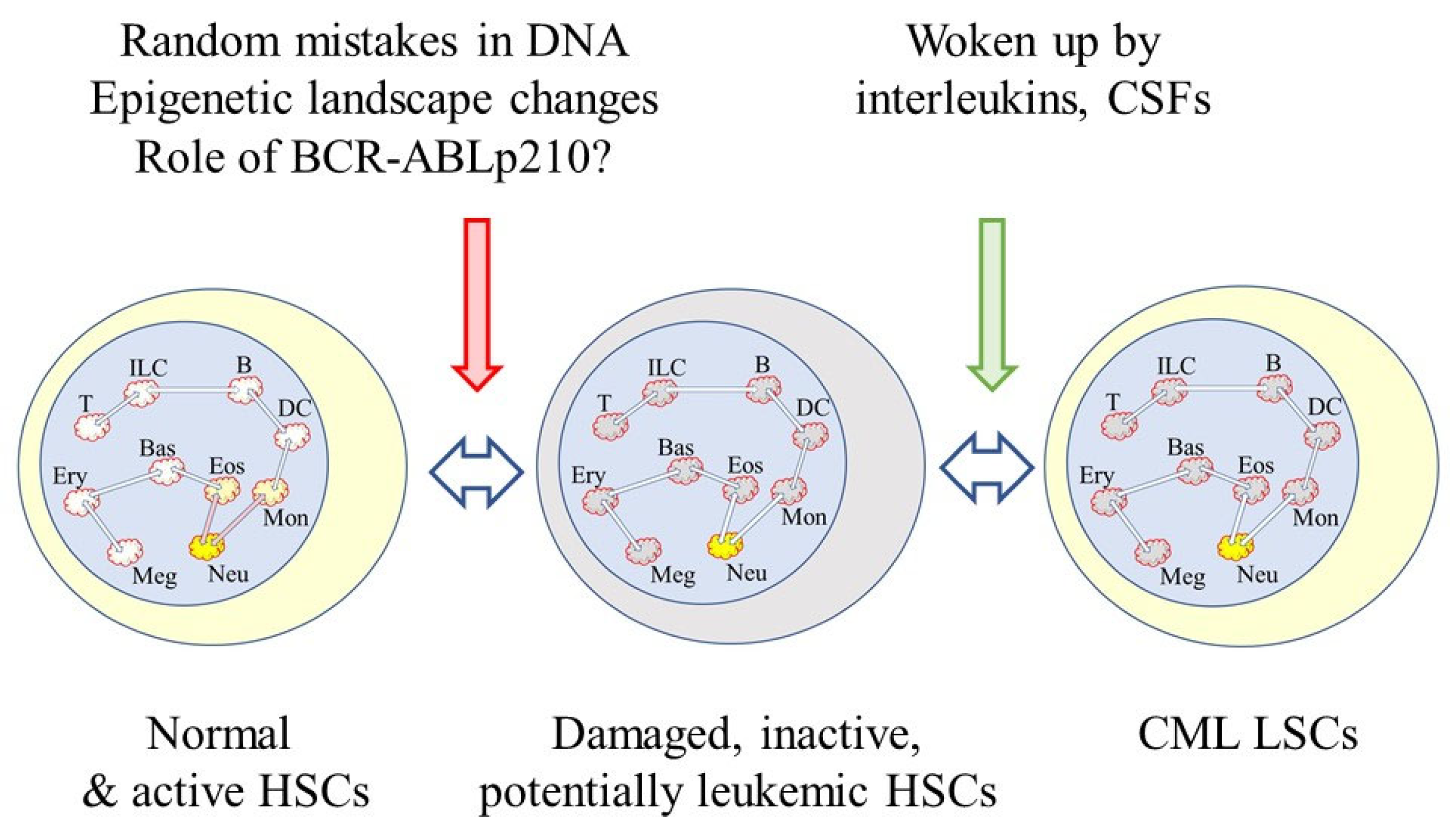 Ijms 23 13570 g003 Ijms 23 13570 g003