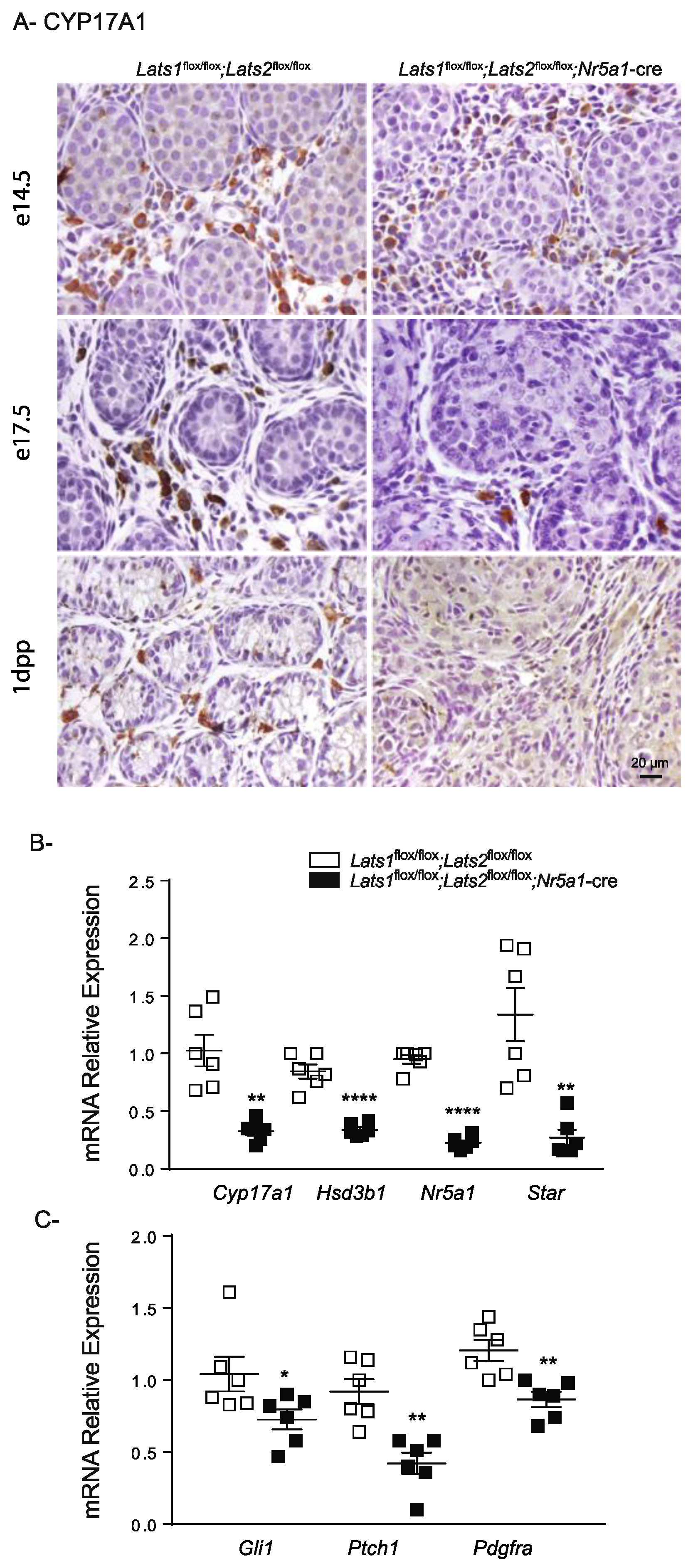 Ijms 23 13585 g007 Ijms 23 13585 g007