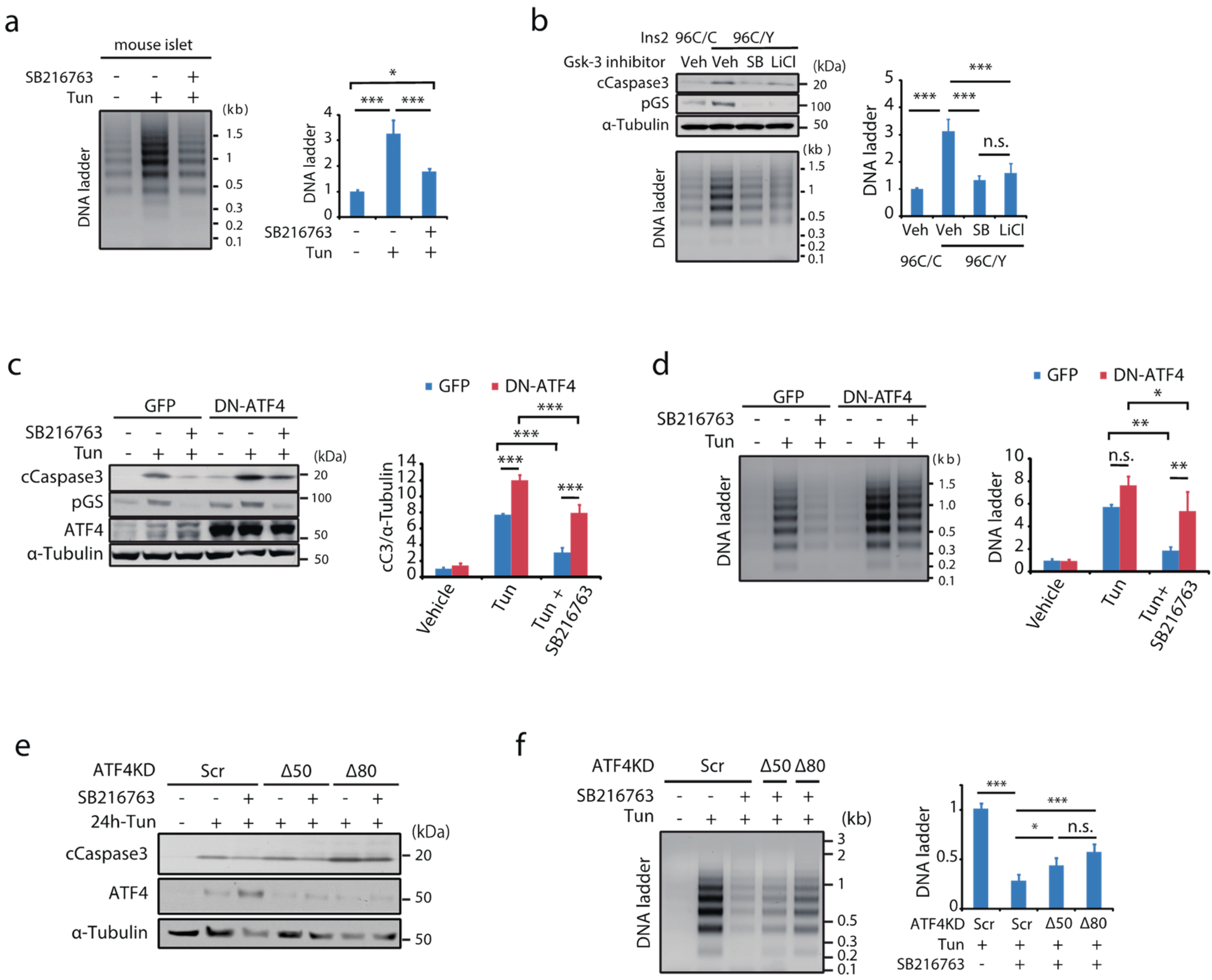 Ijms 23 13586 g003 Ijms 23 13586 g003