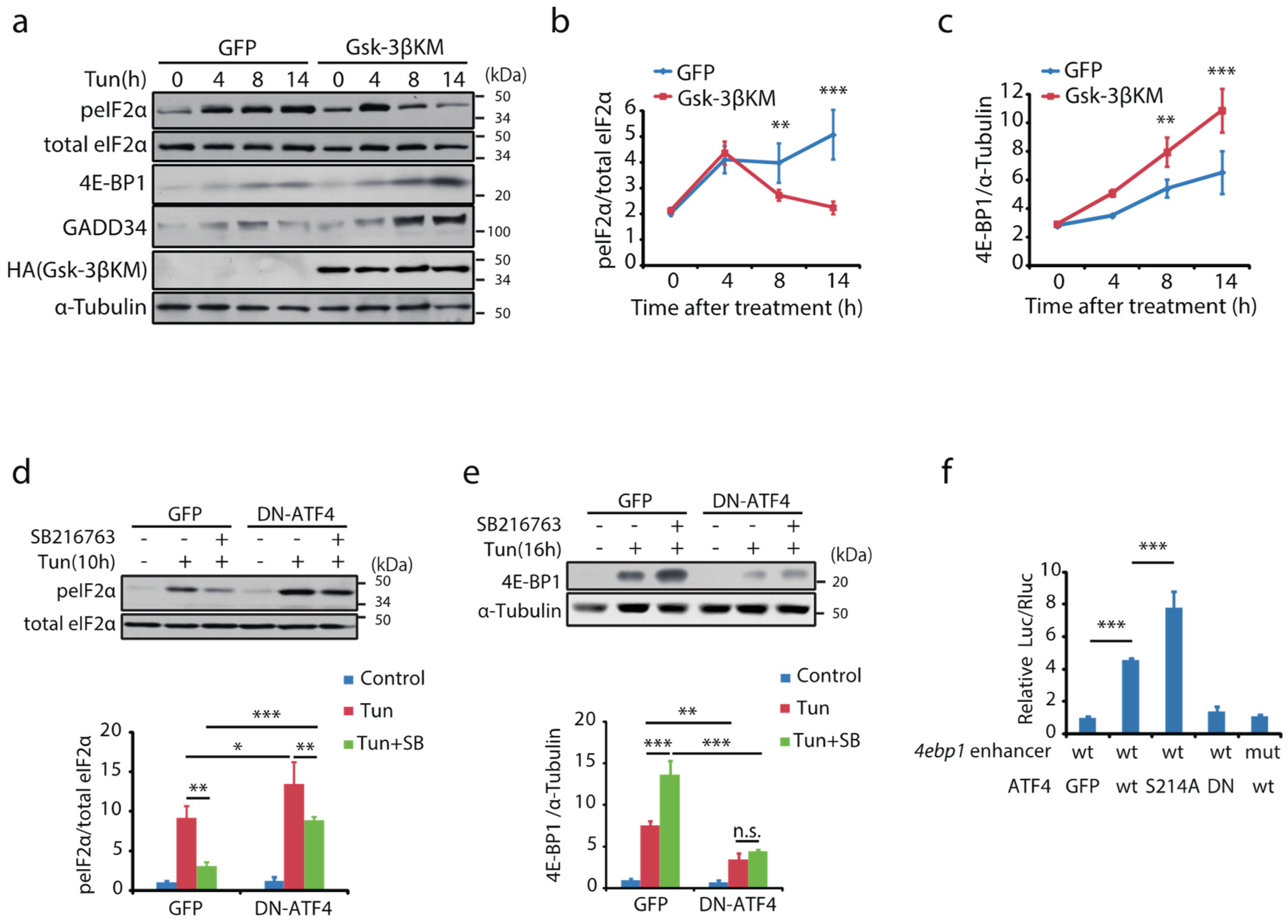 Ijms 23 13586 g004 Ijms 23 13586 g004