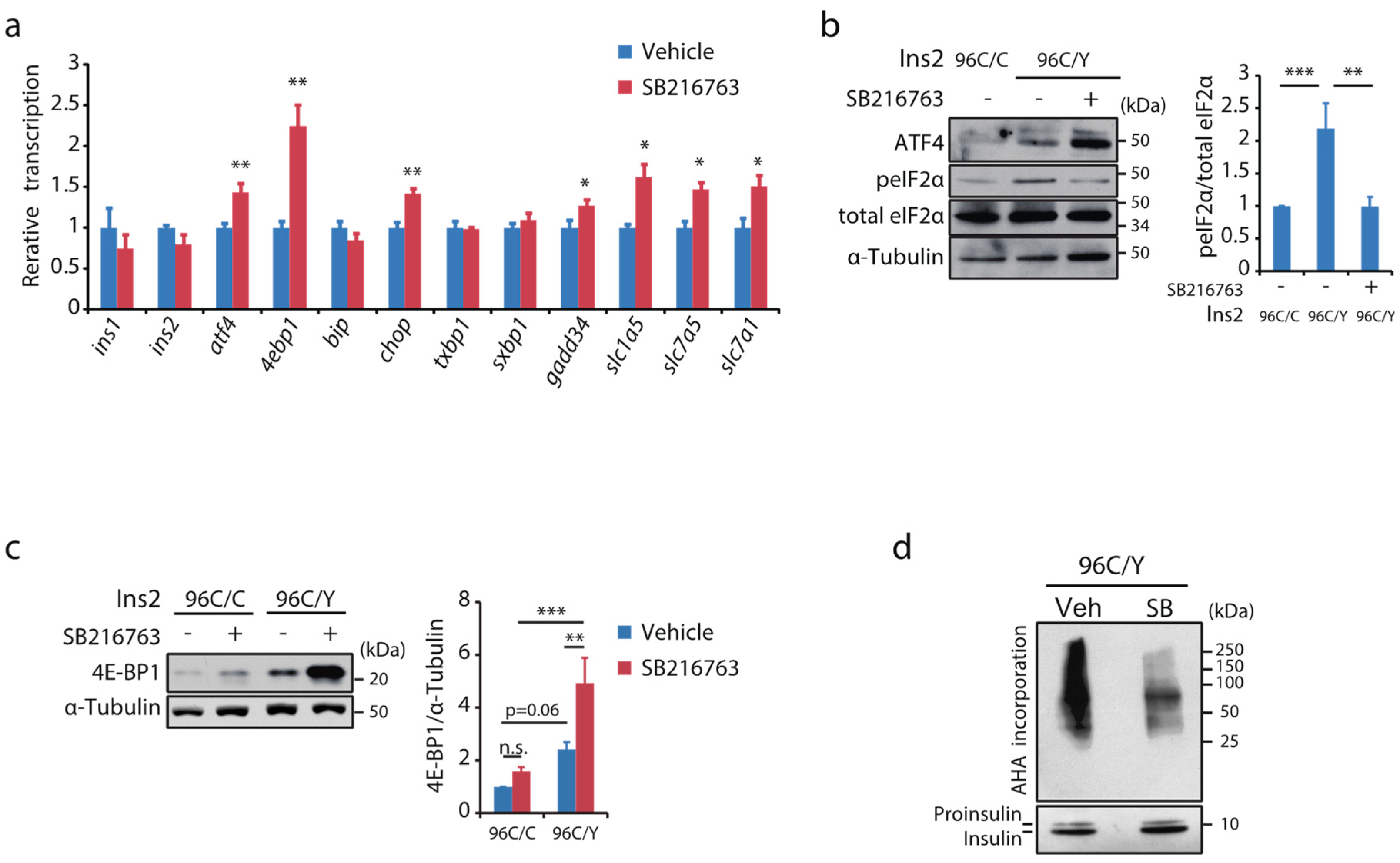 Ijms 23 13586 g006 Ijms 23 13586 g006
