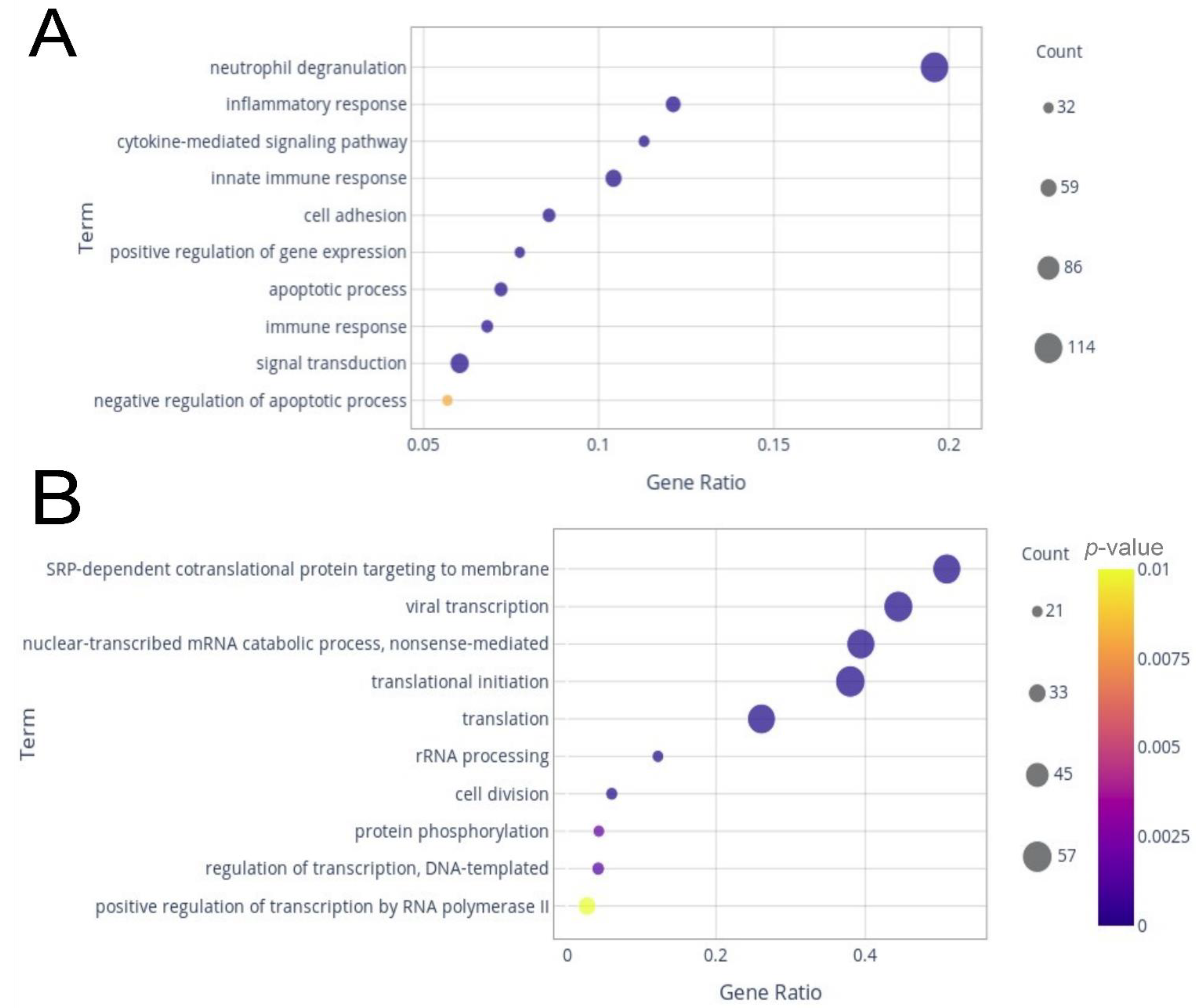 Ijms 23 13588 g002 Ijms 23 13588 g002