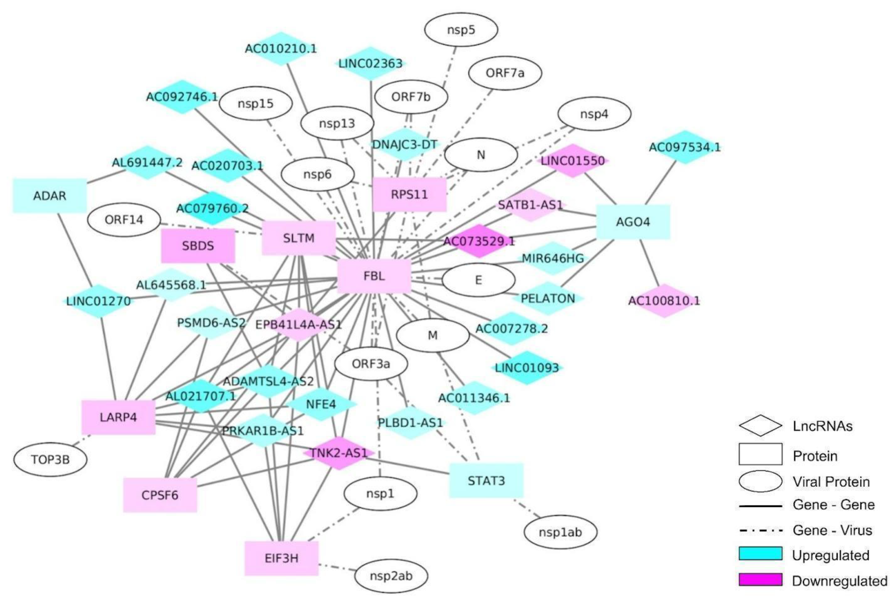 Ijms 23 13588 g005 Ijms 23 13588 g005