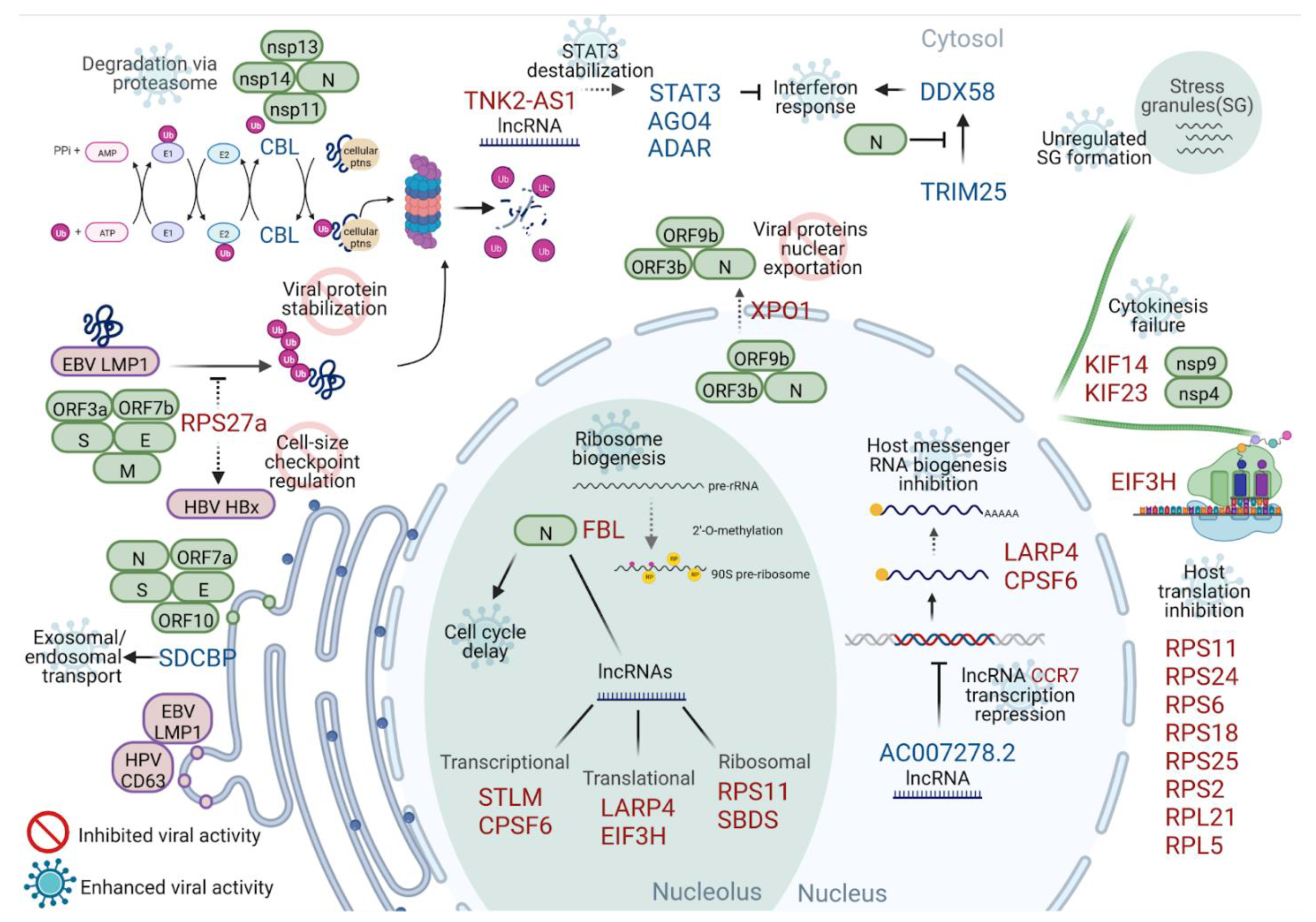 Ijms 23 13588 g006 Ijms 23 13588 g006