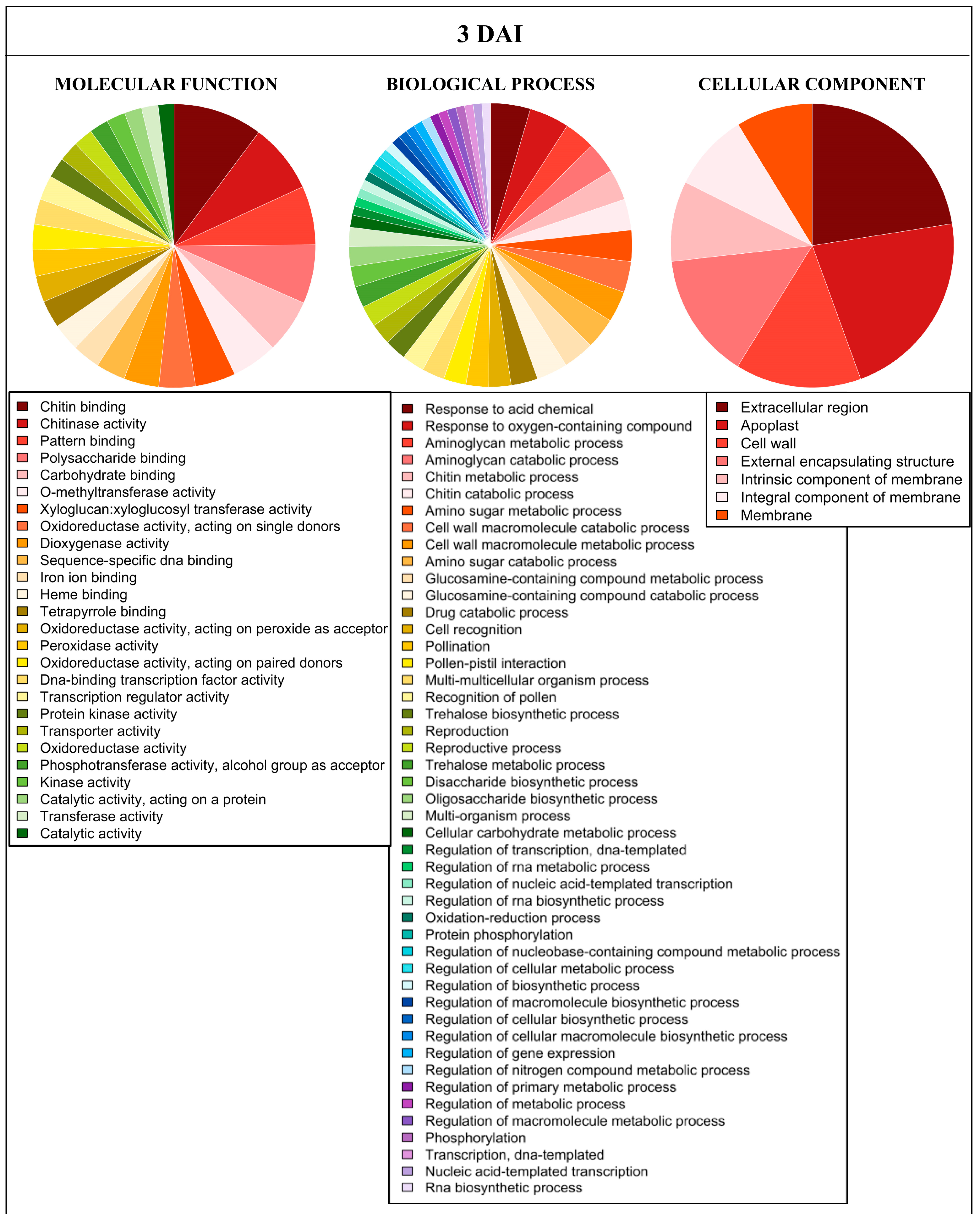 Ijms 23 13589 g002 Ijms 23 13589 g002