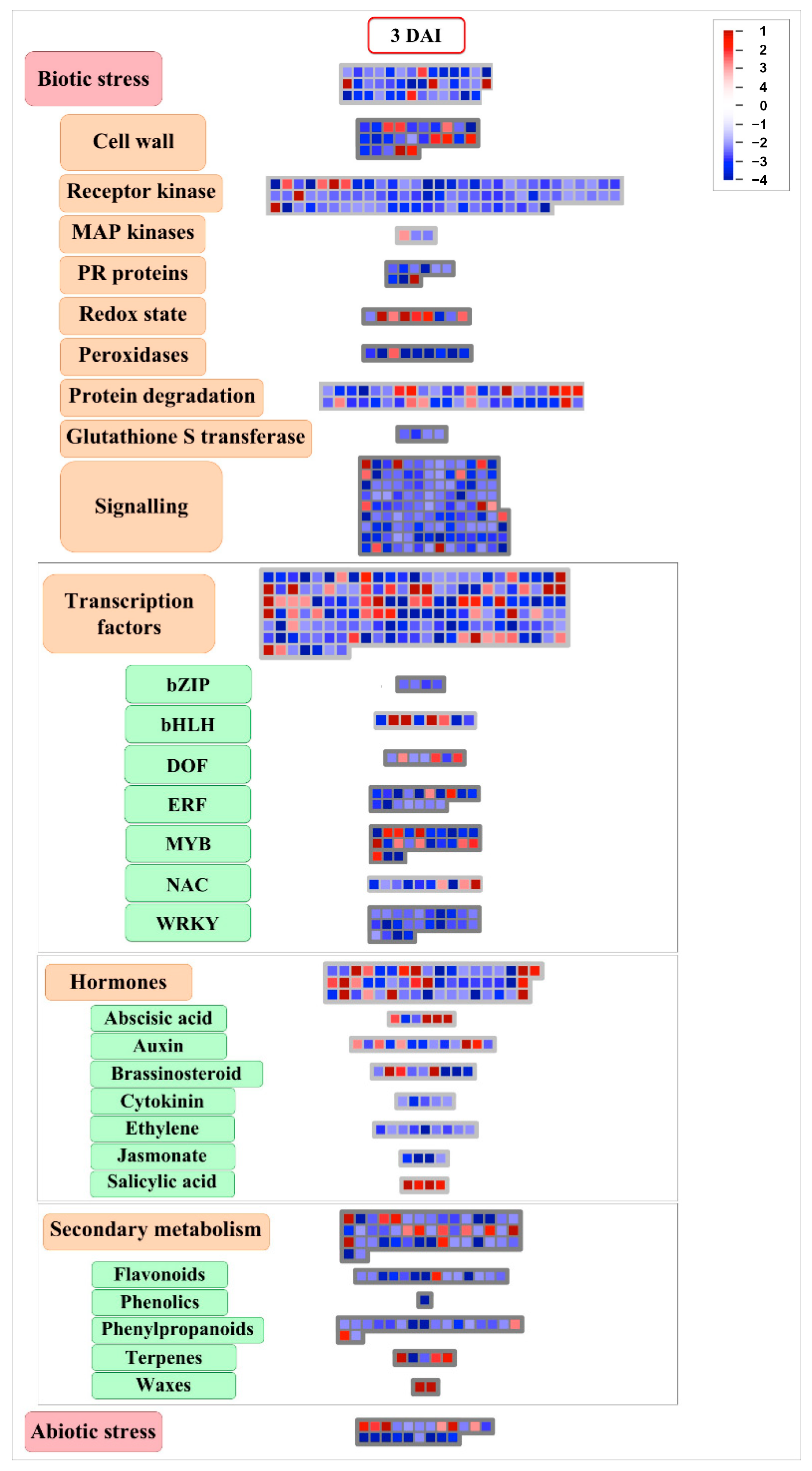 Ijms 23 13589 g004 Ijms 23 13589 g004