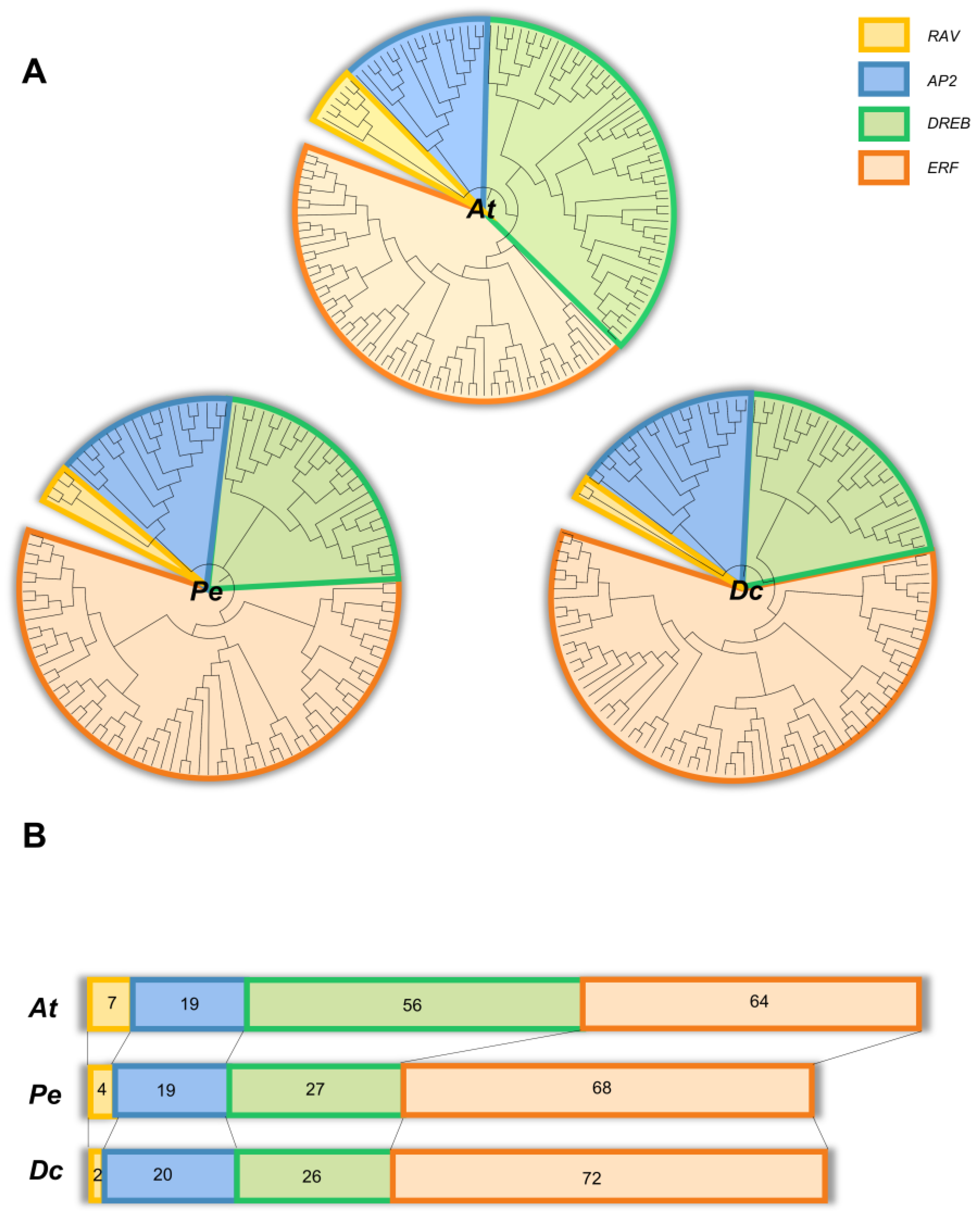 Ijms 23 13603 g001 Ijms 23 13603 g001