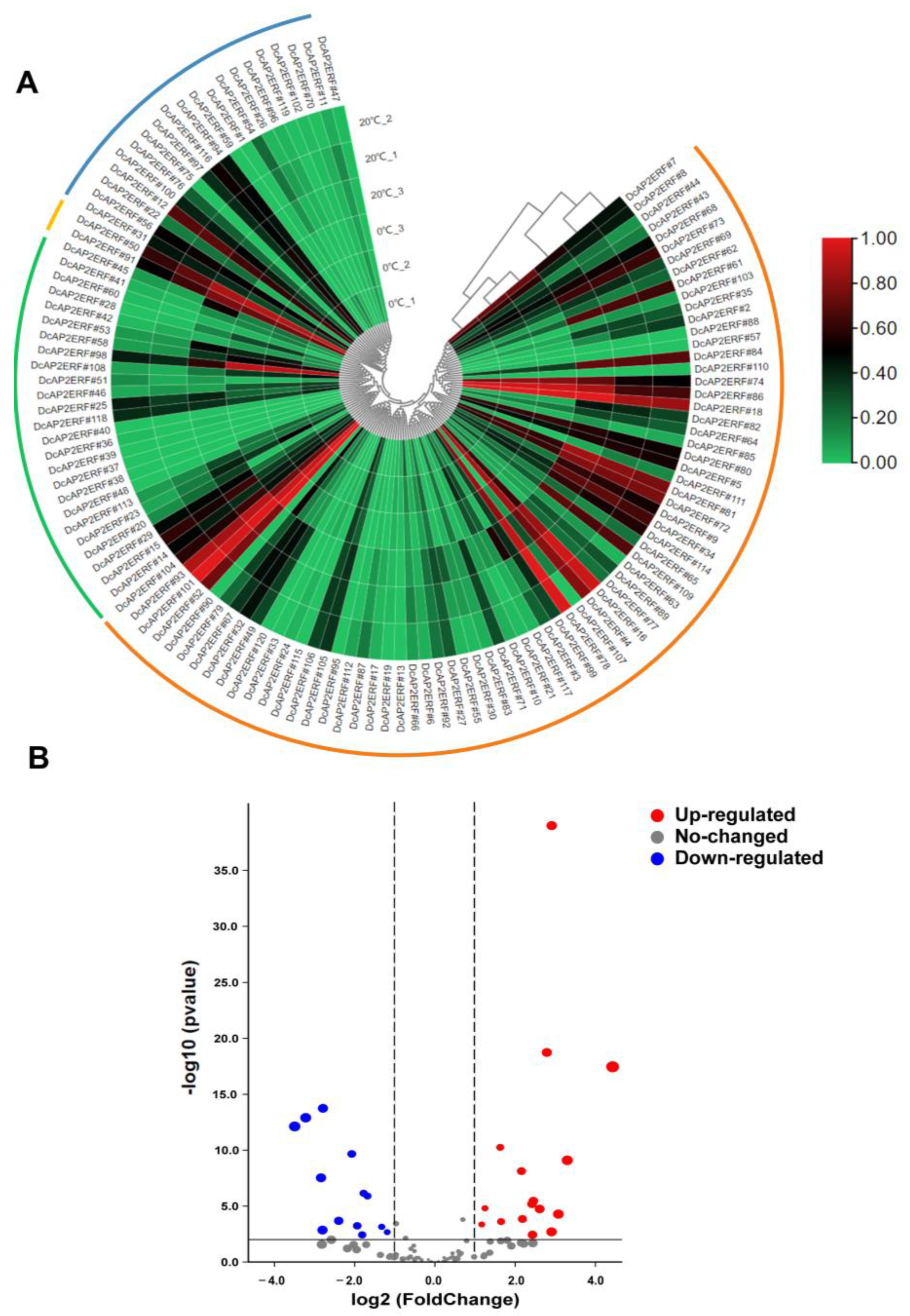 Ijms 23 13603 g004 Ijms 23 13603 g004