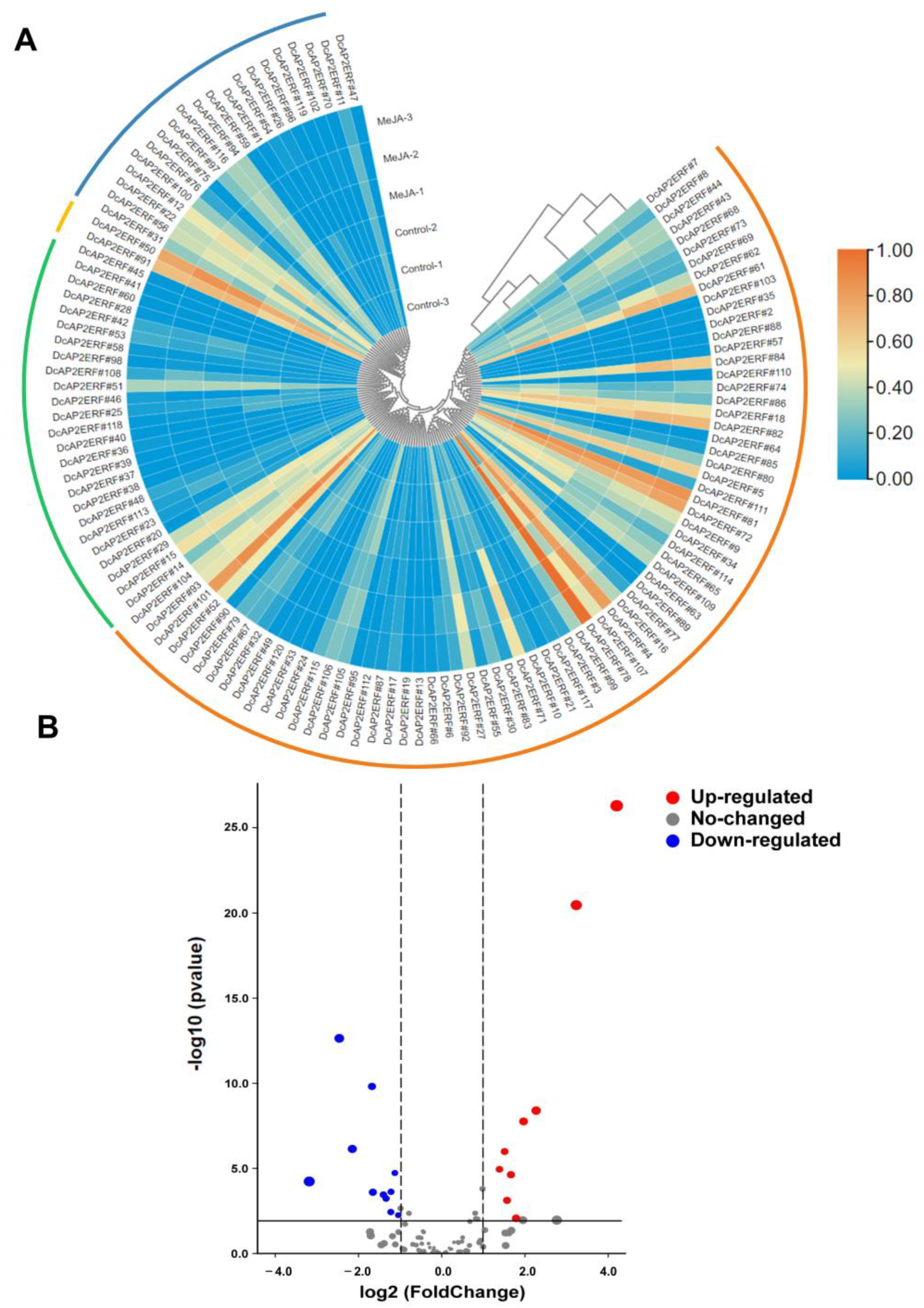Ijms 23 13603 g005 Ijms 23 13603 g005