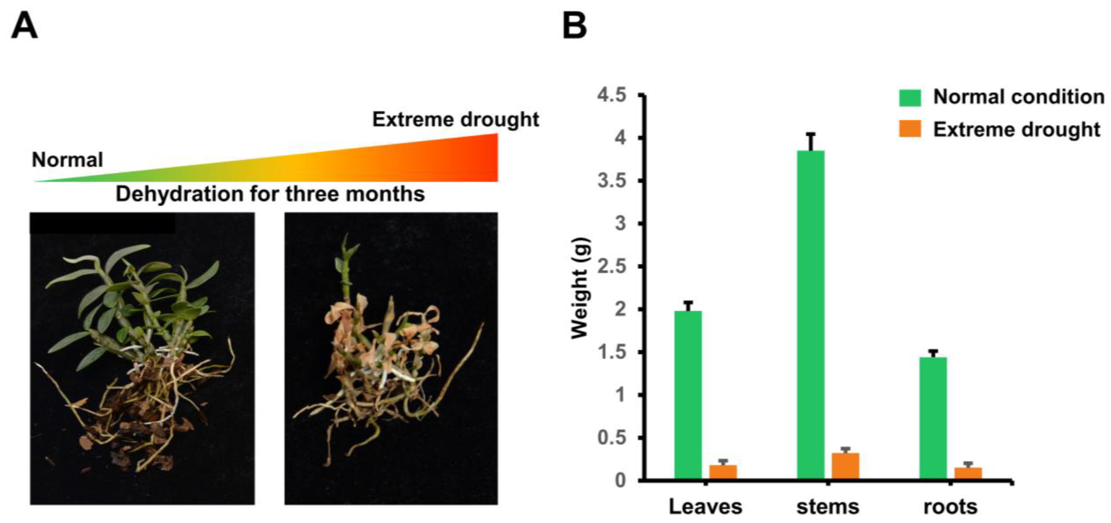 Ijms 23 13603 g007 Ijms 23 13603 g007
