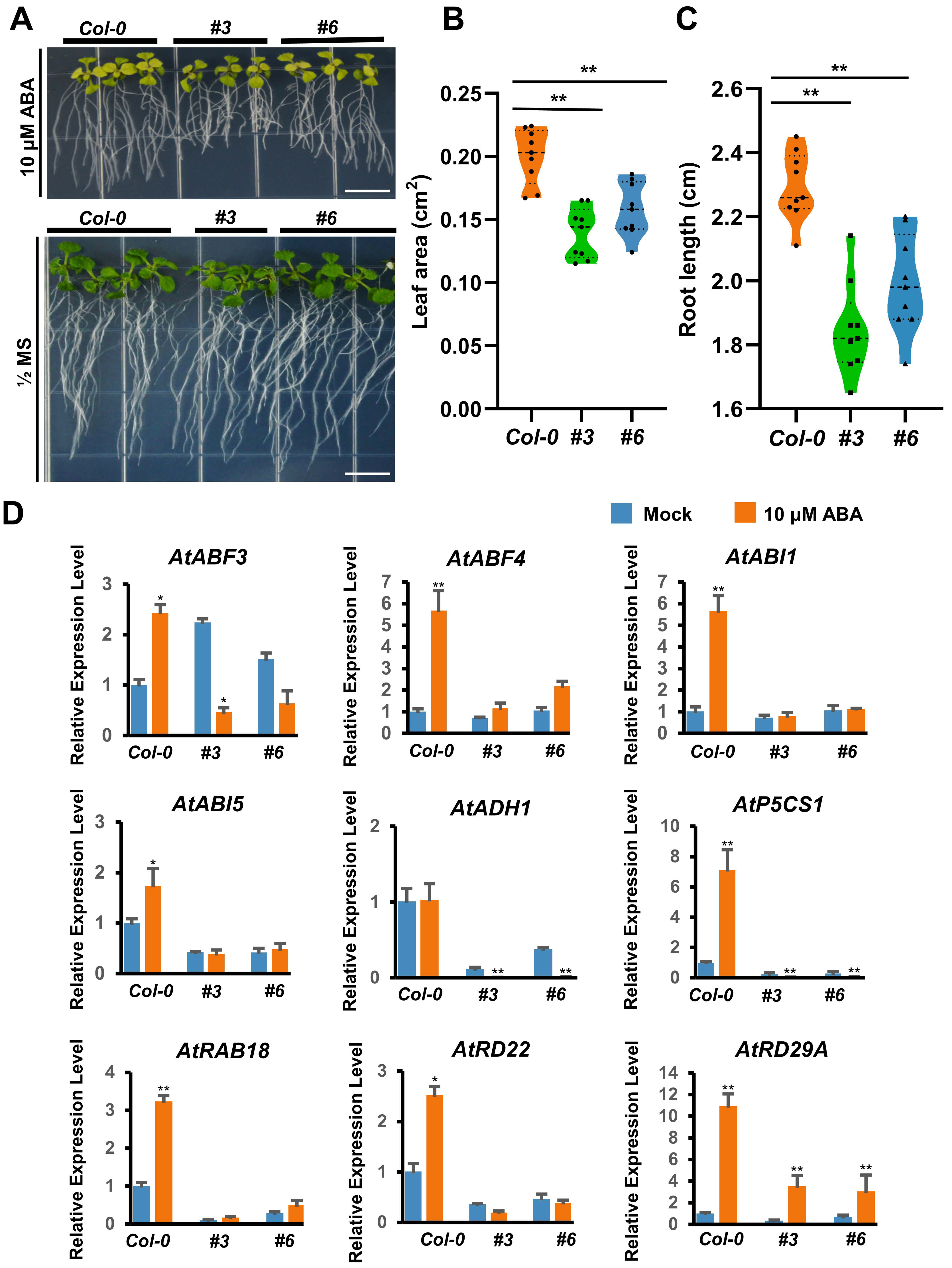 Ijms 23 13603 g009 Ijms 23 13603 g009