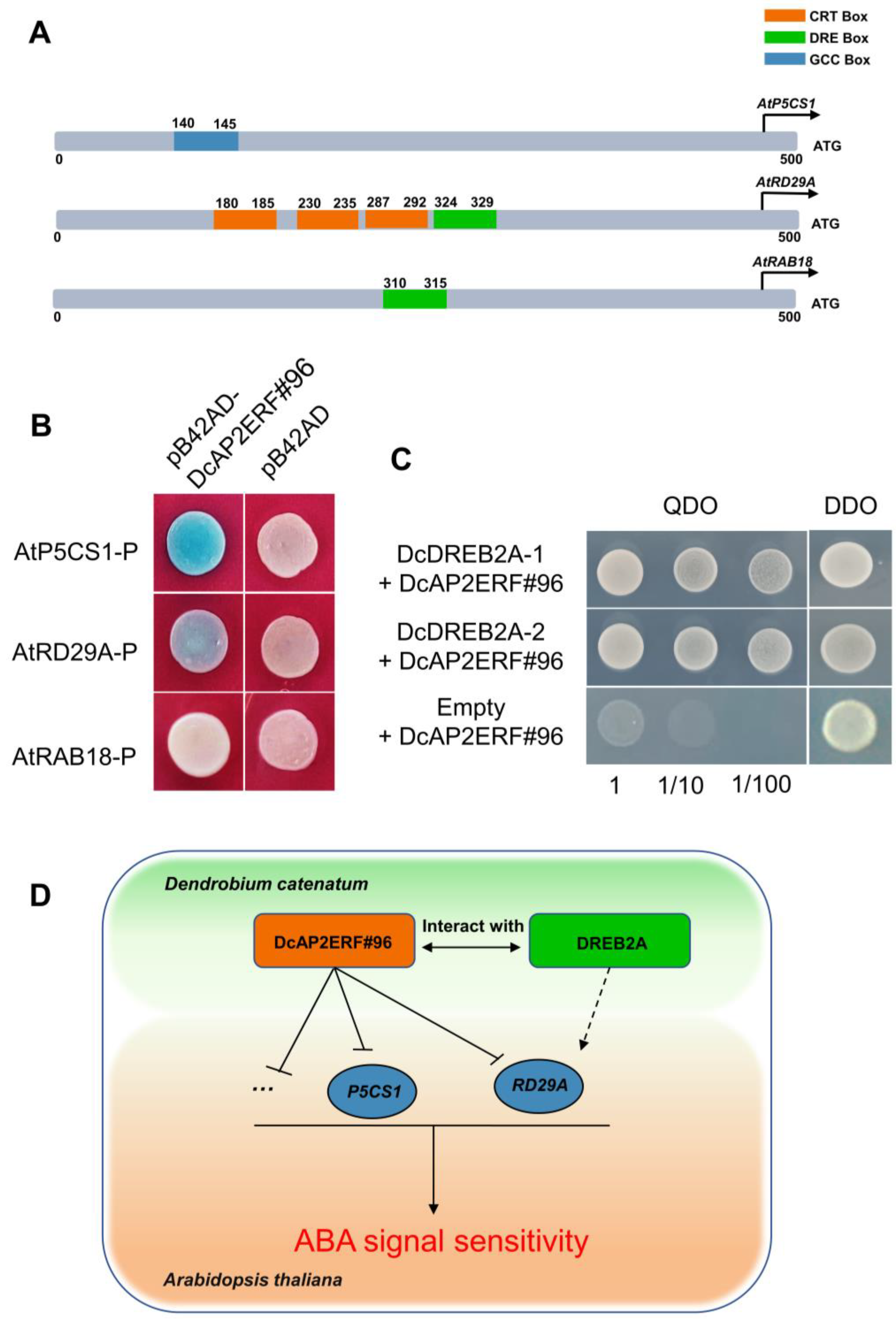 Ijms 23 13603 g010 Ijms 23 13603 g010