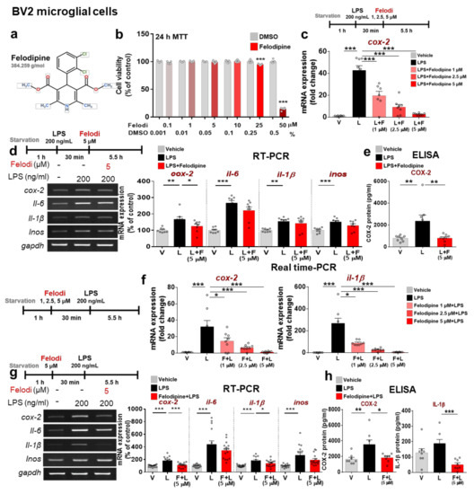 L-Type Ca2+ Channel Inhibition Rescues the LPS-Induced
