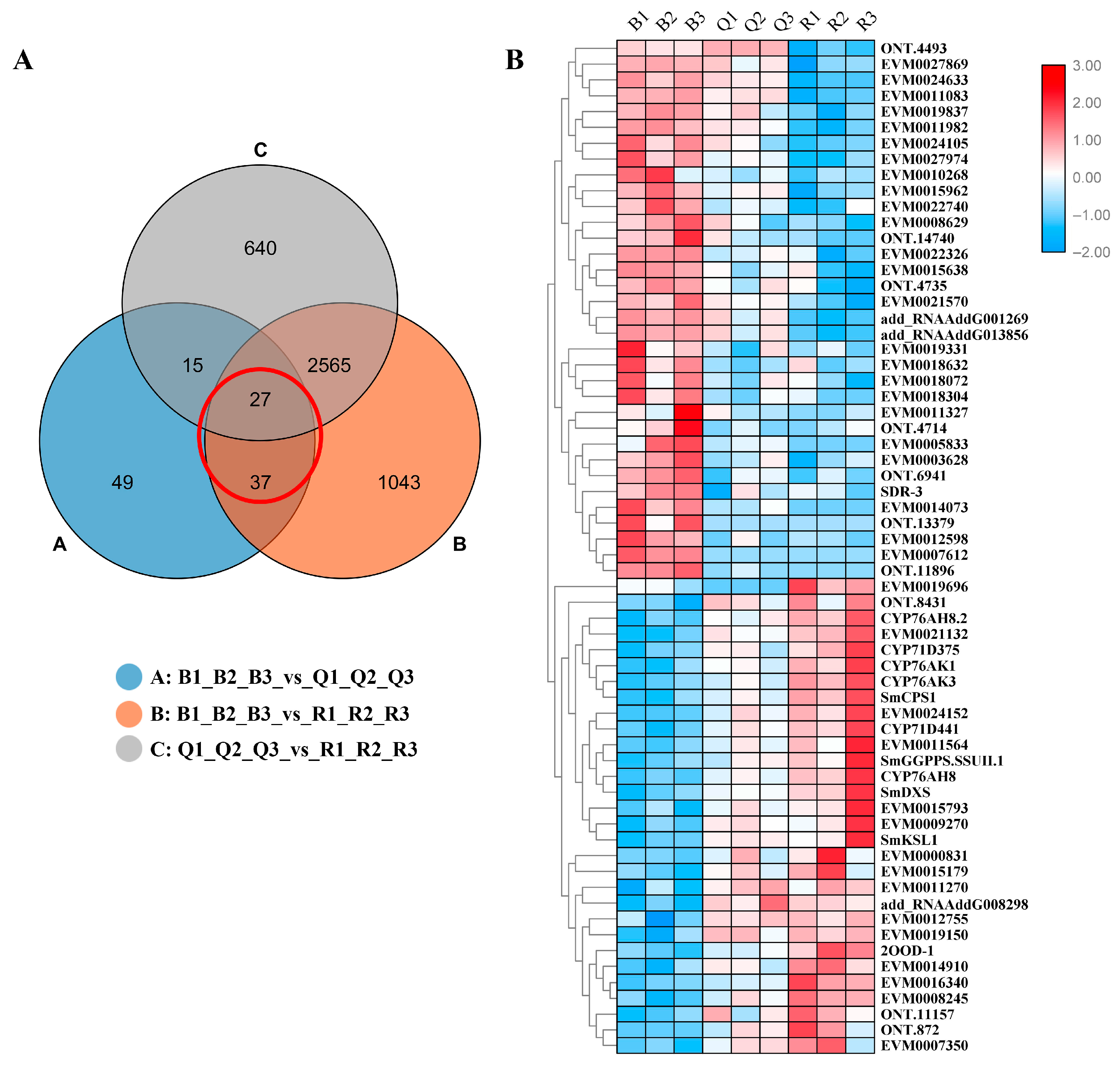 Ijms 23 13607 g004 Ijms 23 13607 g004