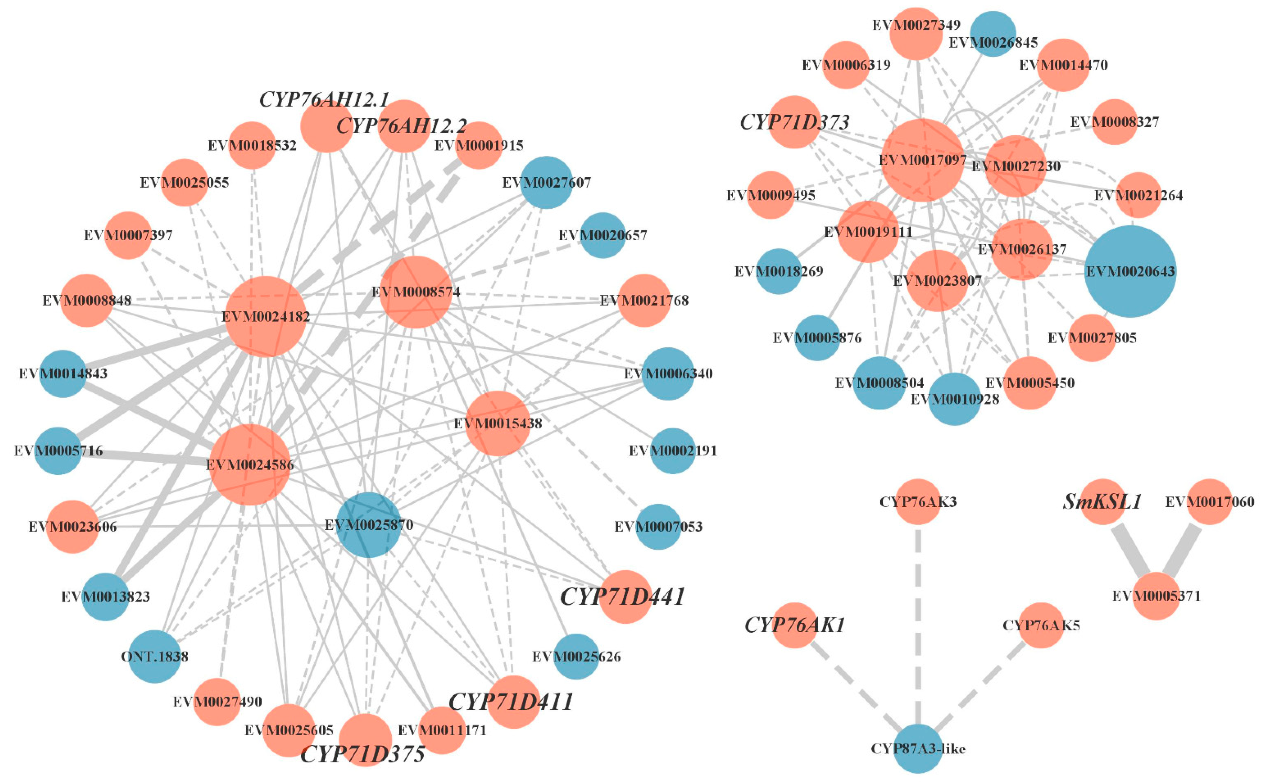 Ijms 23 13607 g006 Ijms 23 13607 g006