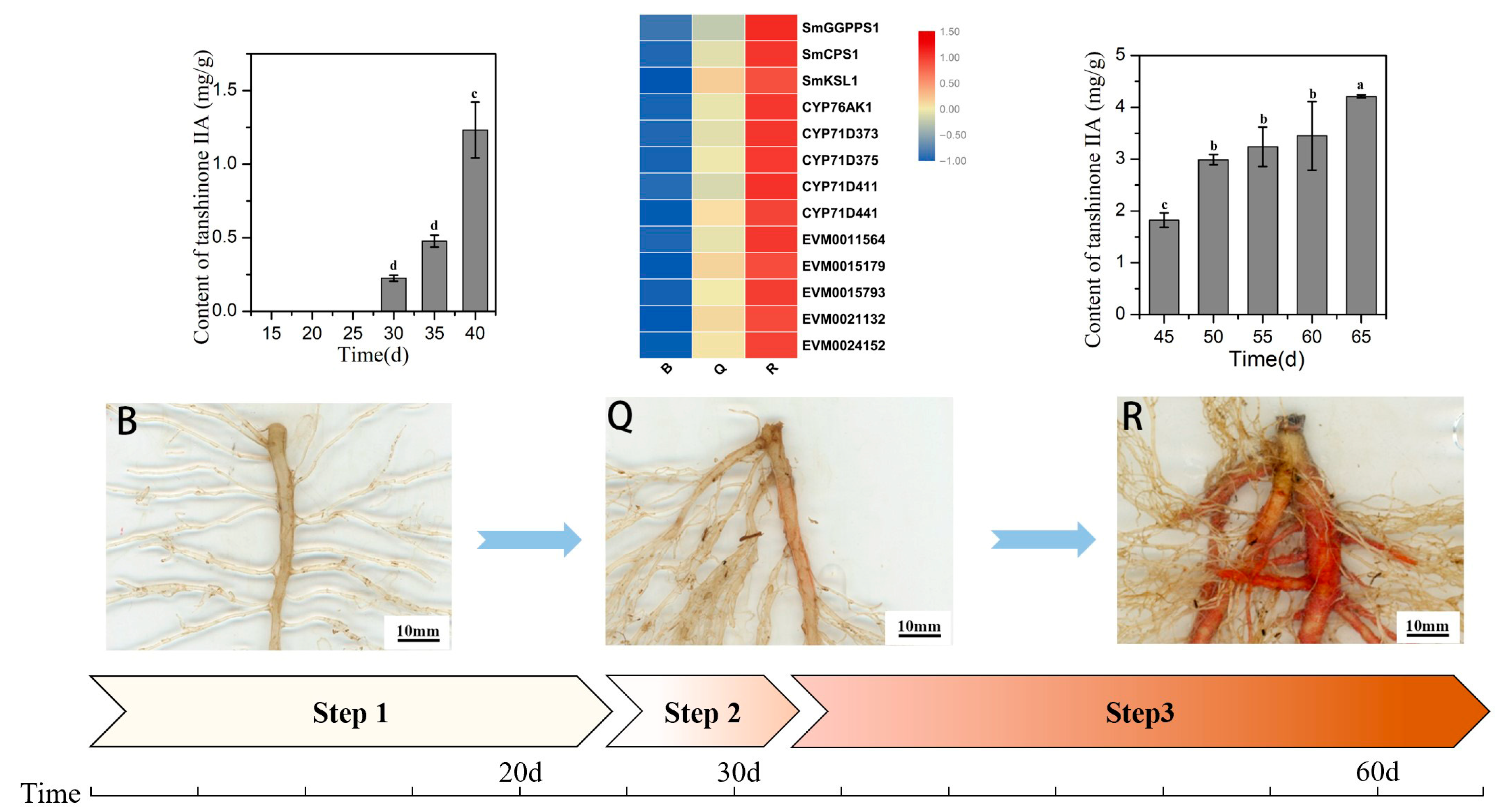 Ijms 23 13607 g007 Ijms 23 13607 g007