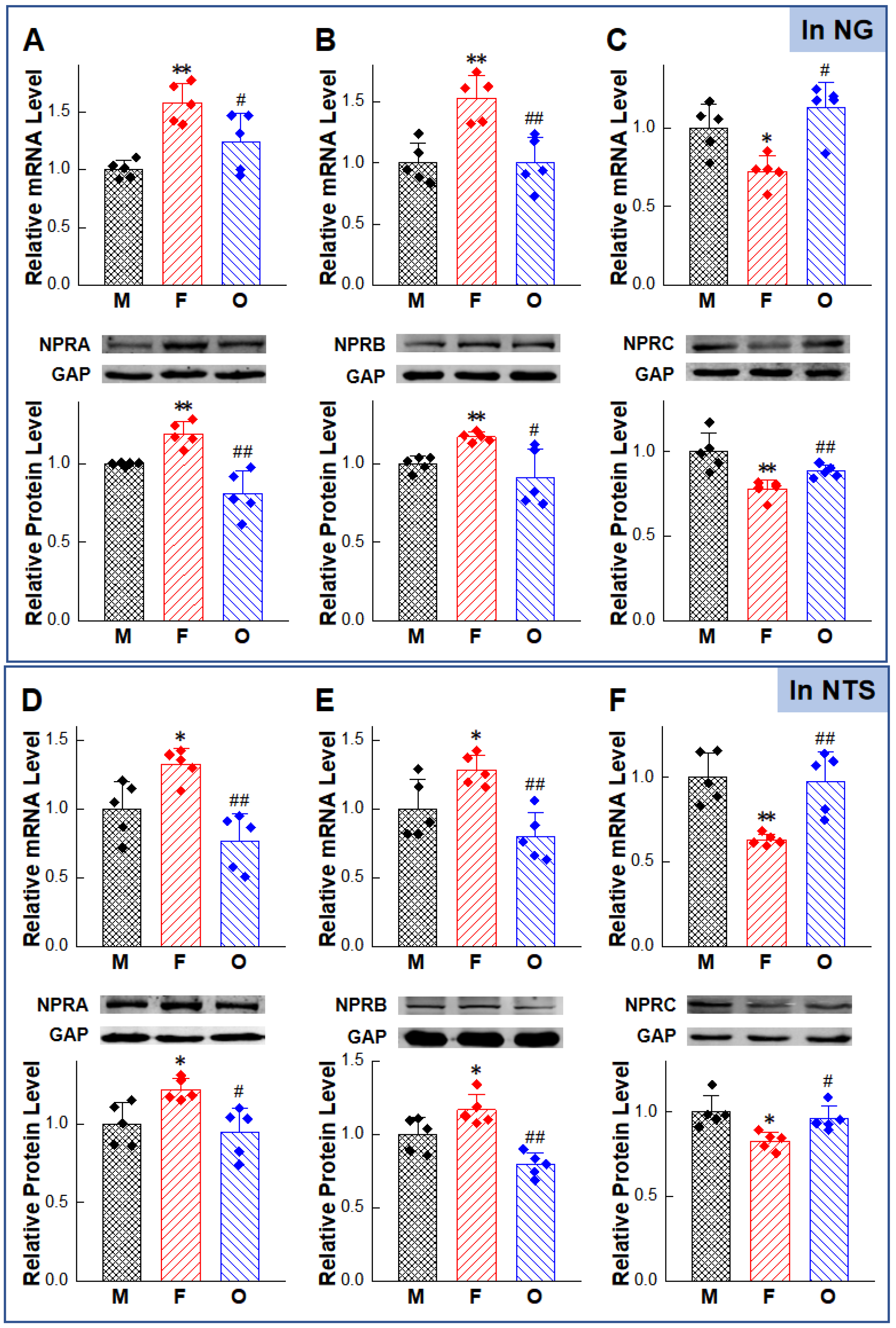 Ijms 23 13619 g002a Ijms 23 13619 g002a