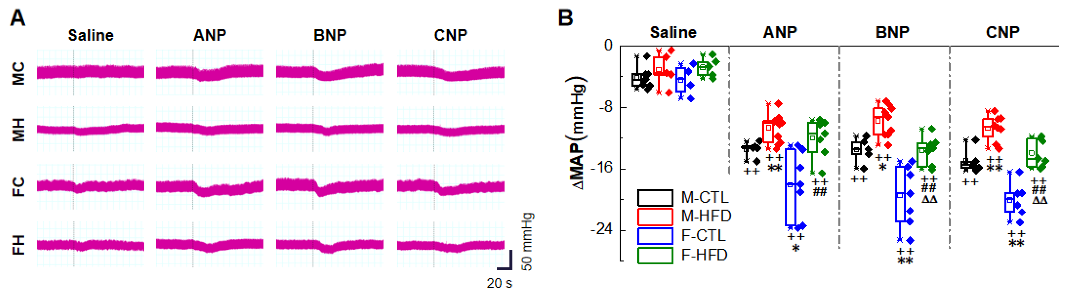 Ijms 23 13619 g003 Ijms 23 13619 g003