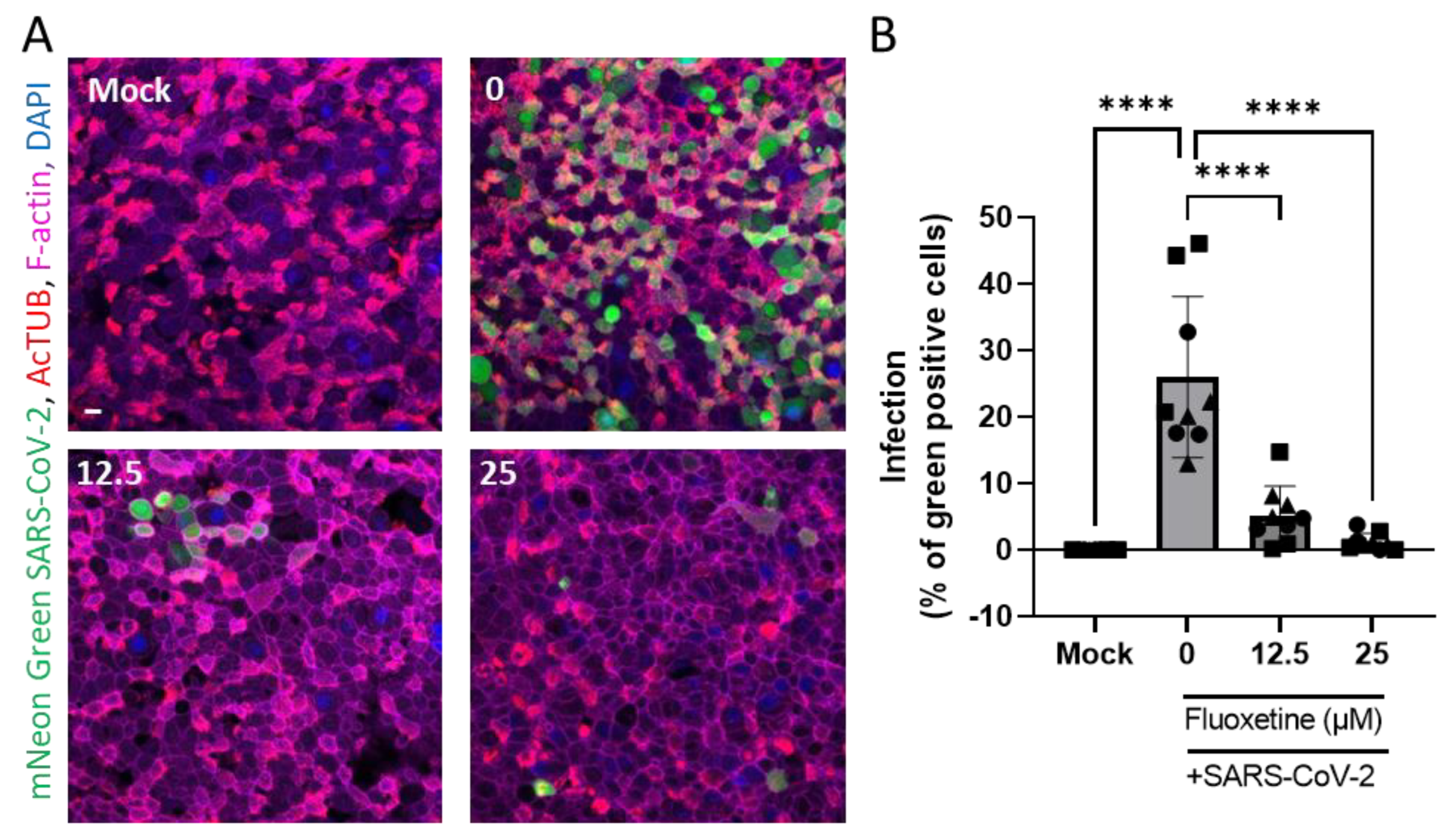 Ijms 23 13623 g004 Ijms 23 13623 g004