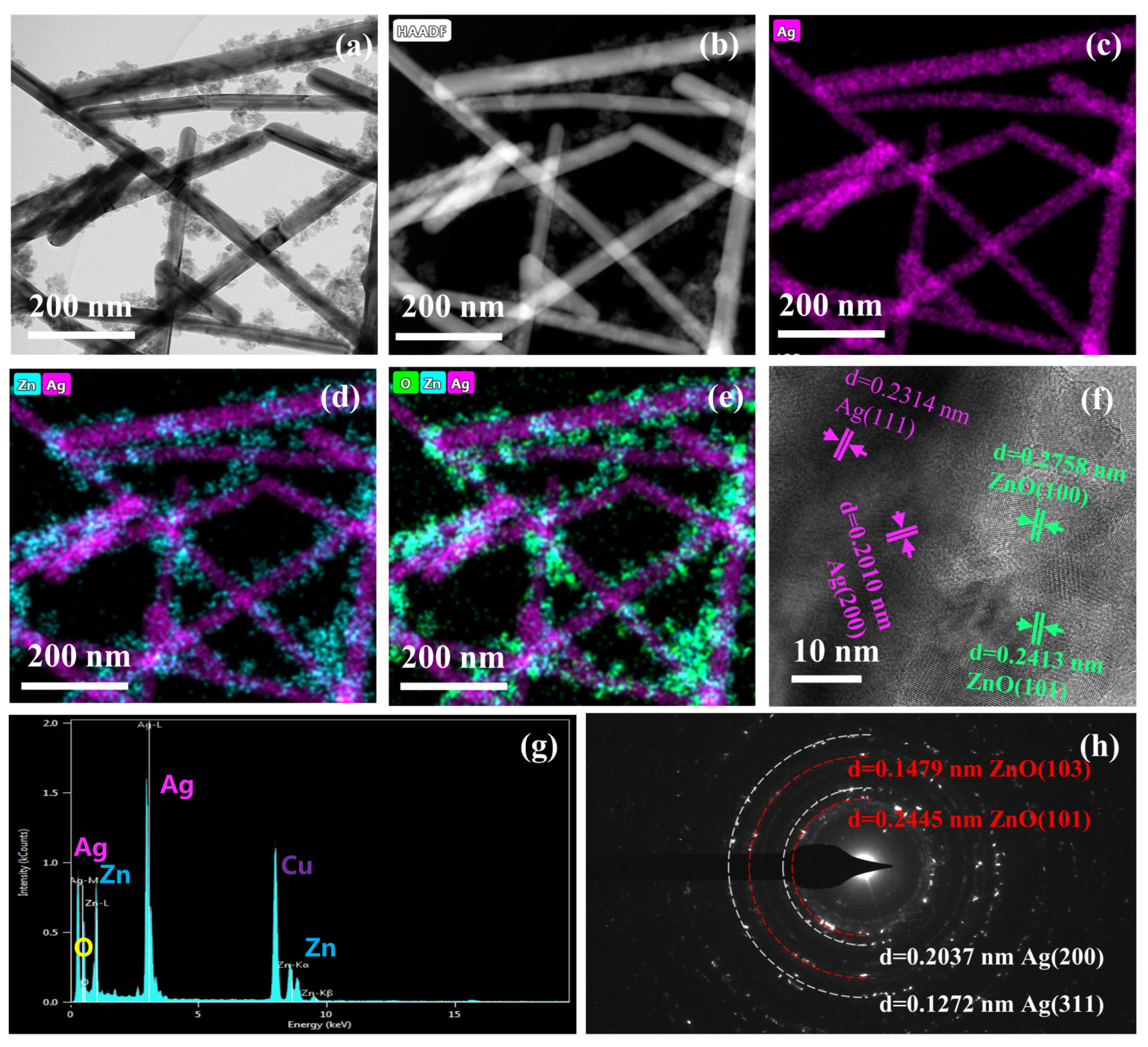 Ijms 23 13633 g001 Ijms 23 13633 g001