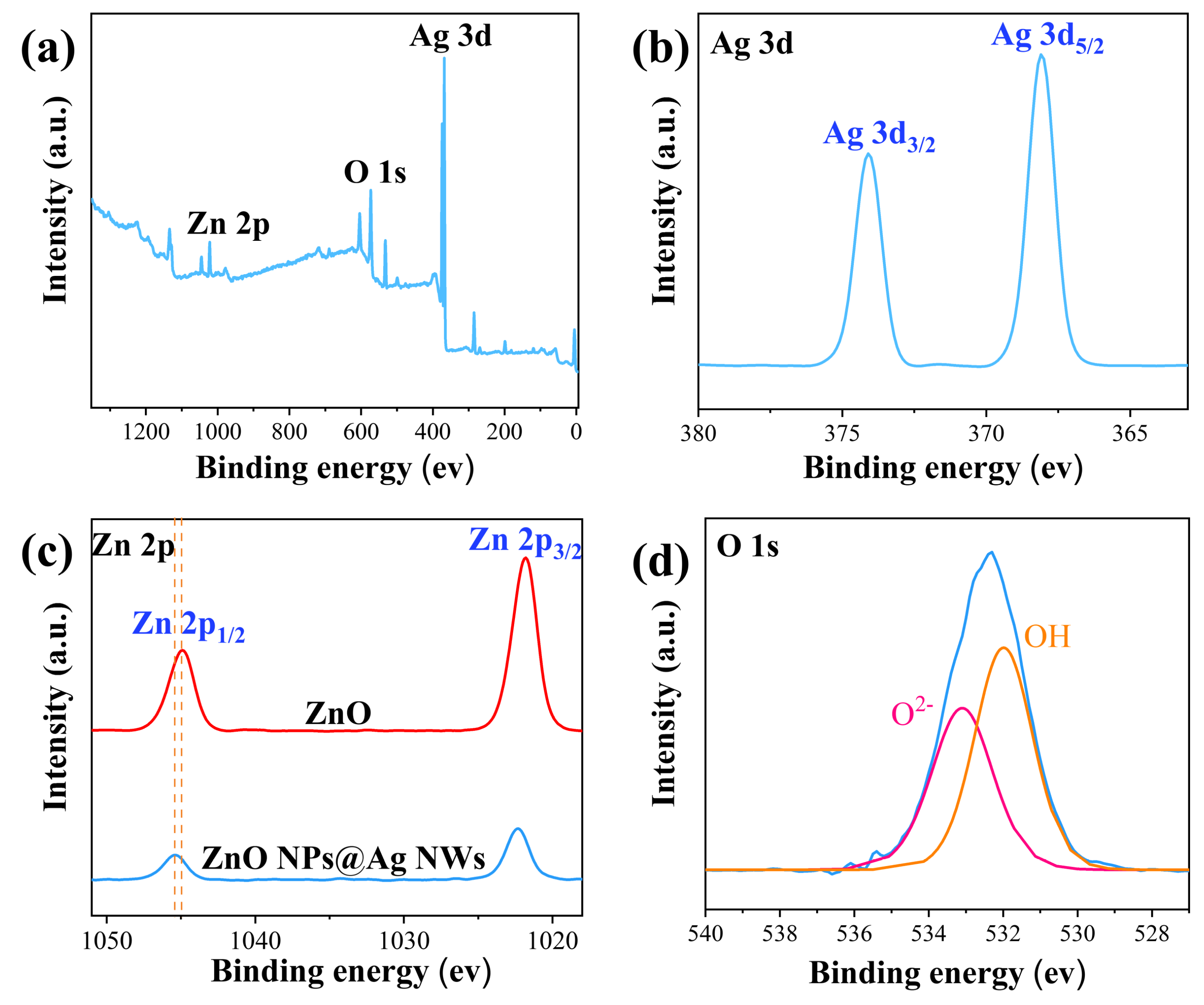 Ijms 23 13633 g003 Ijms 23 13633 g003