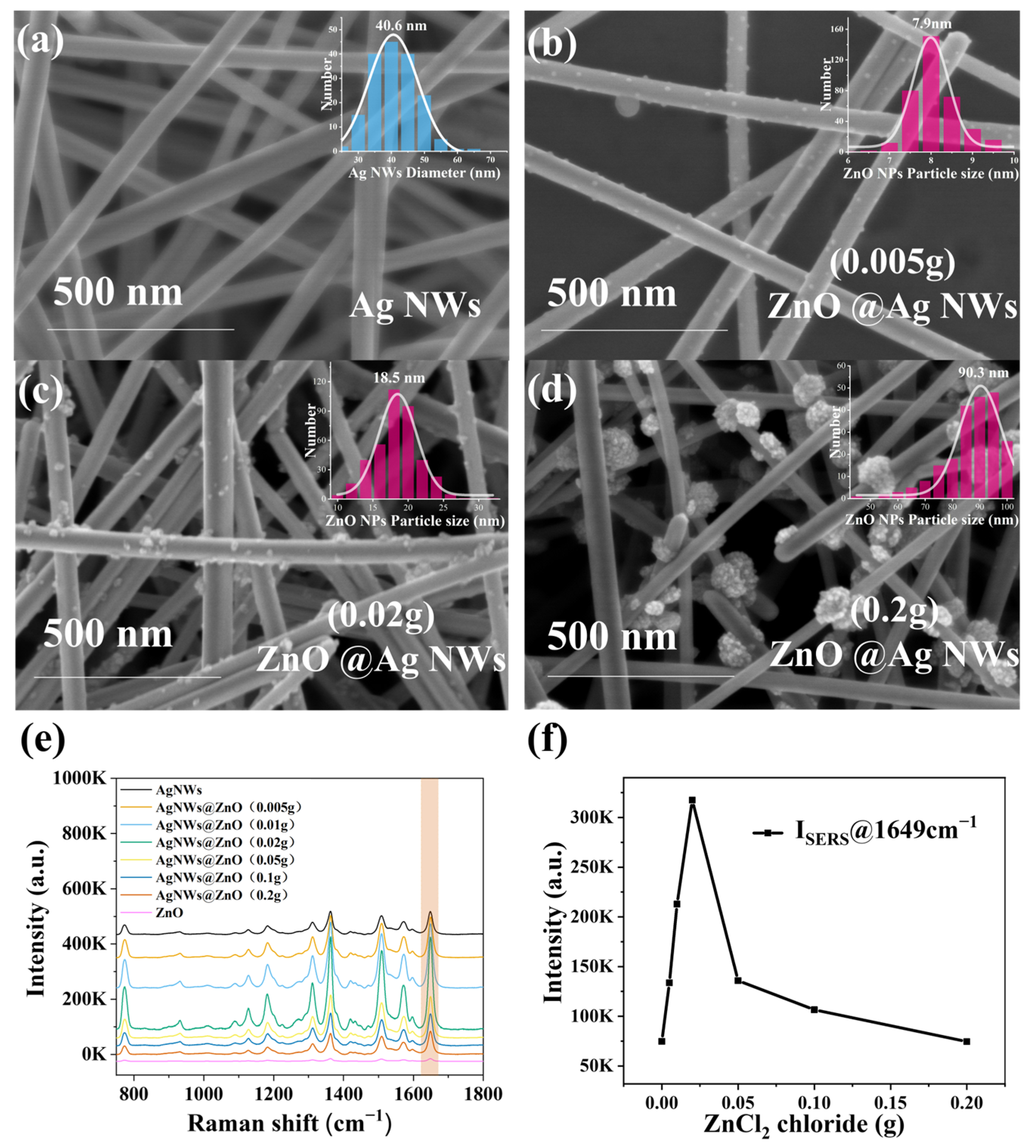 Ijms 23 13633 g004 Ijms 23 13633 g004