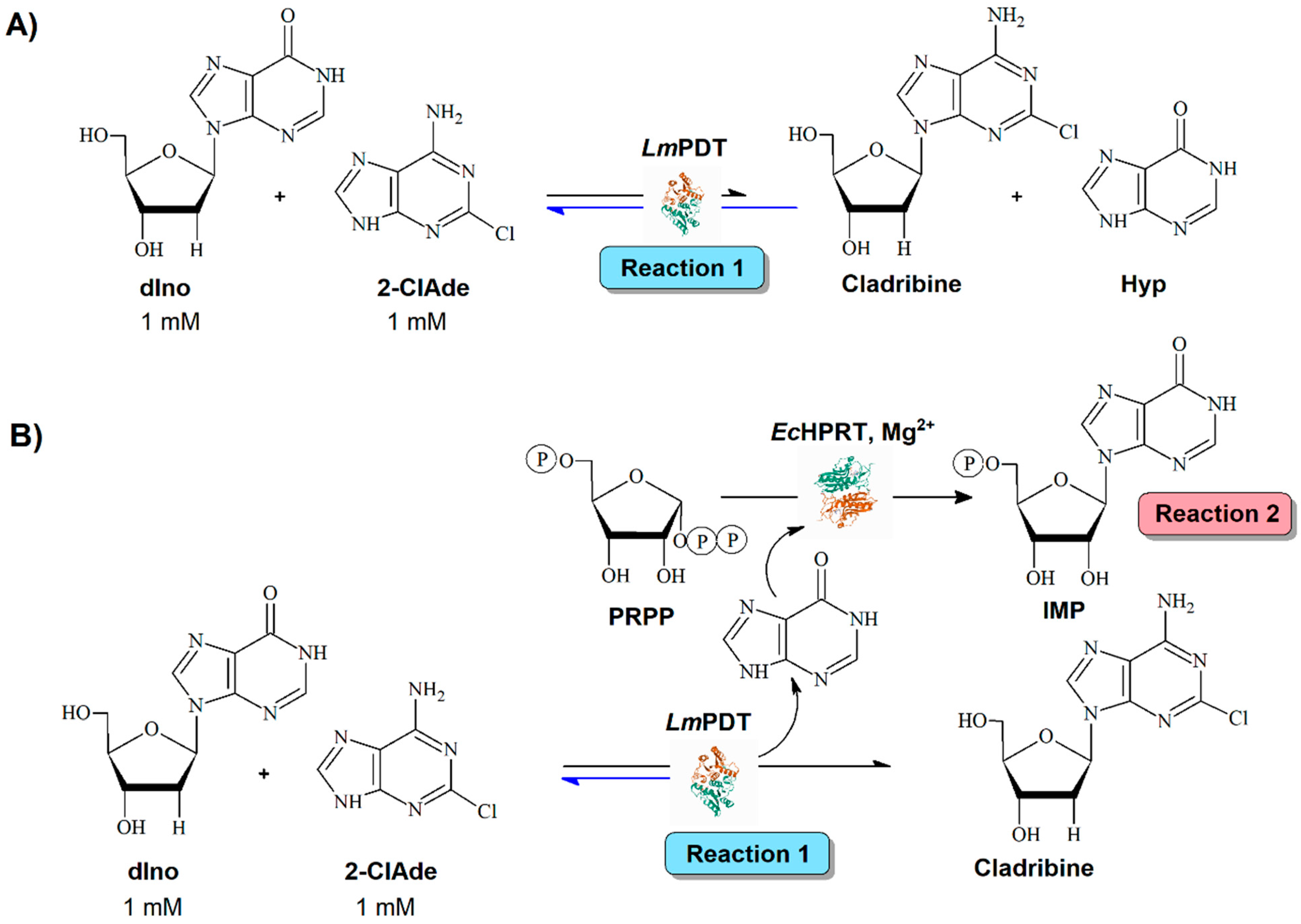 Ijms 23 13634 g001 Ijms 23 13634 g001