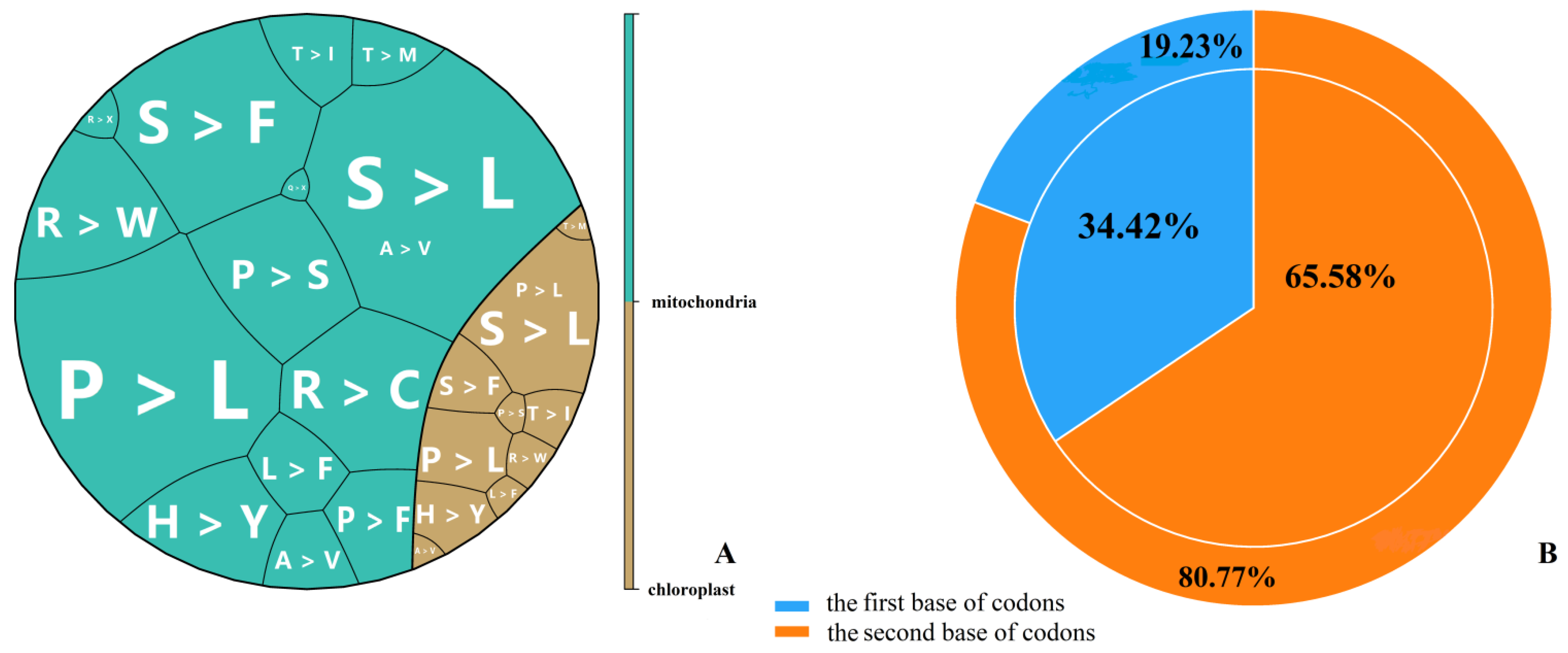 Ijms 23 13640 g001 Ijms 23 13640 g001