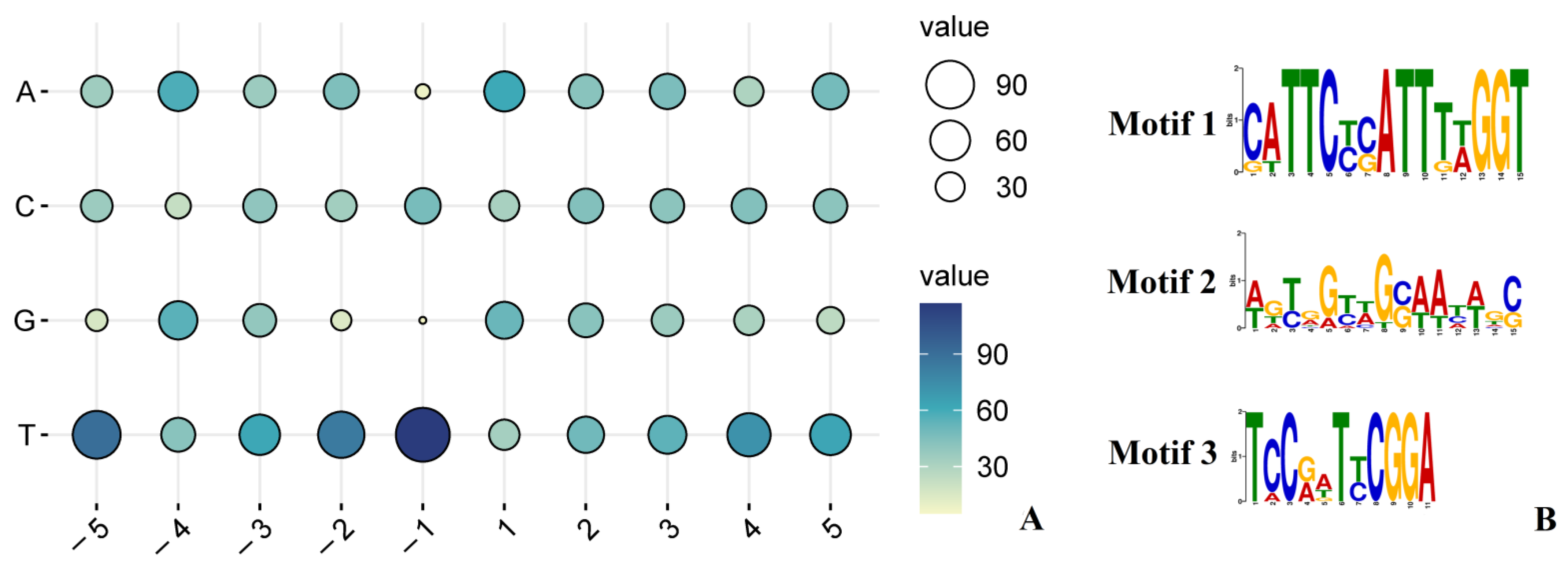 Ijms 23 13640 g003 Ijms 23 13640 g003
