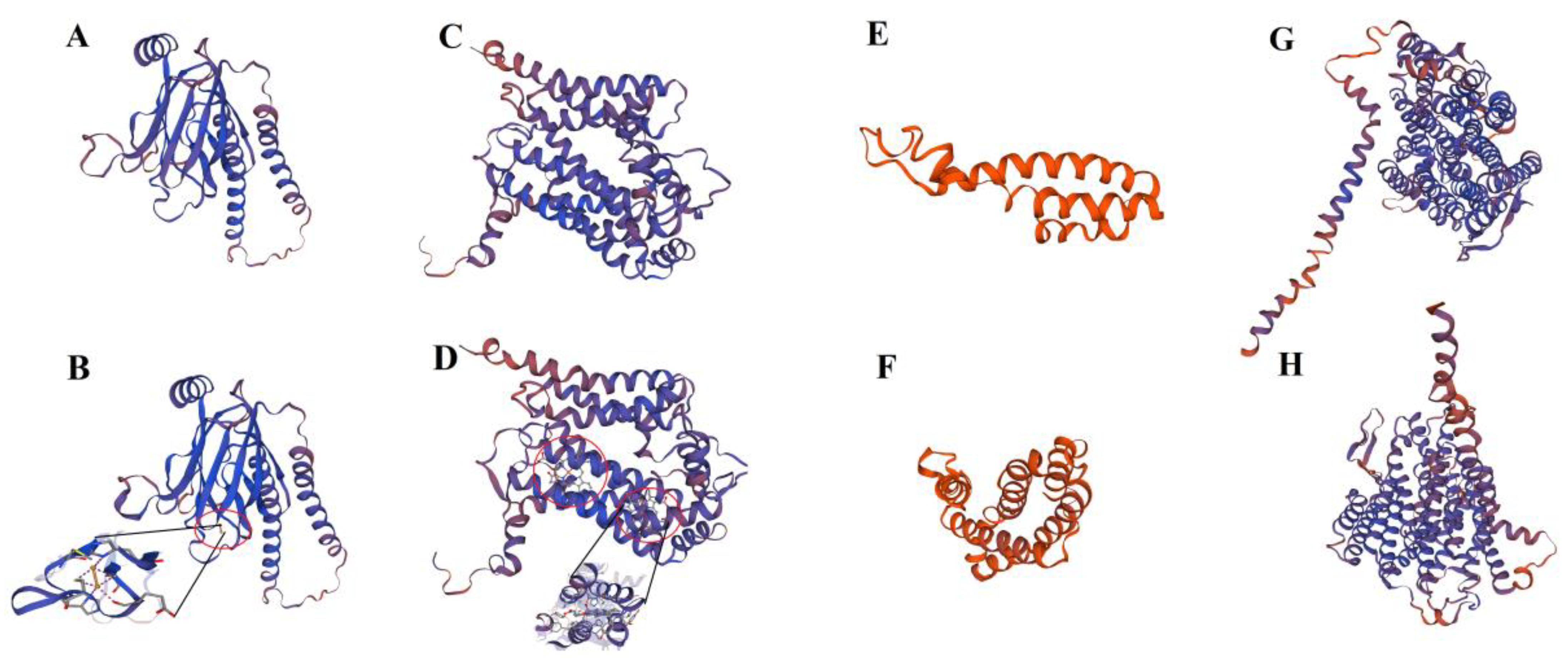 Ijms 23 13640 g004 Ijms 23 13640 g004