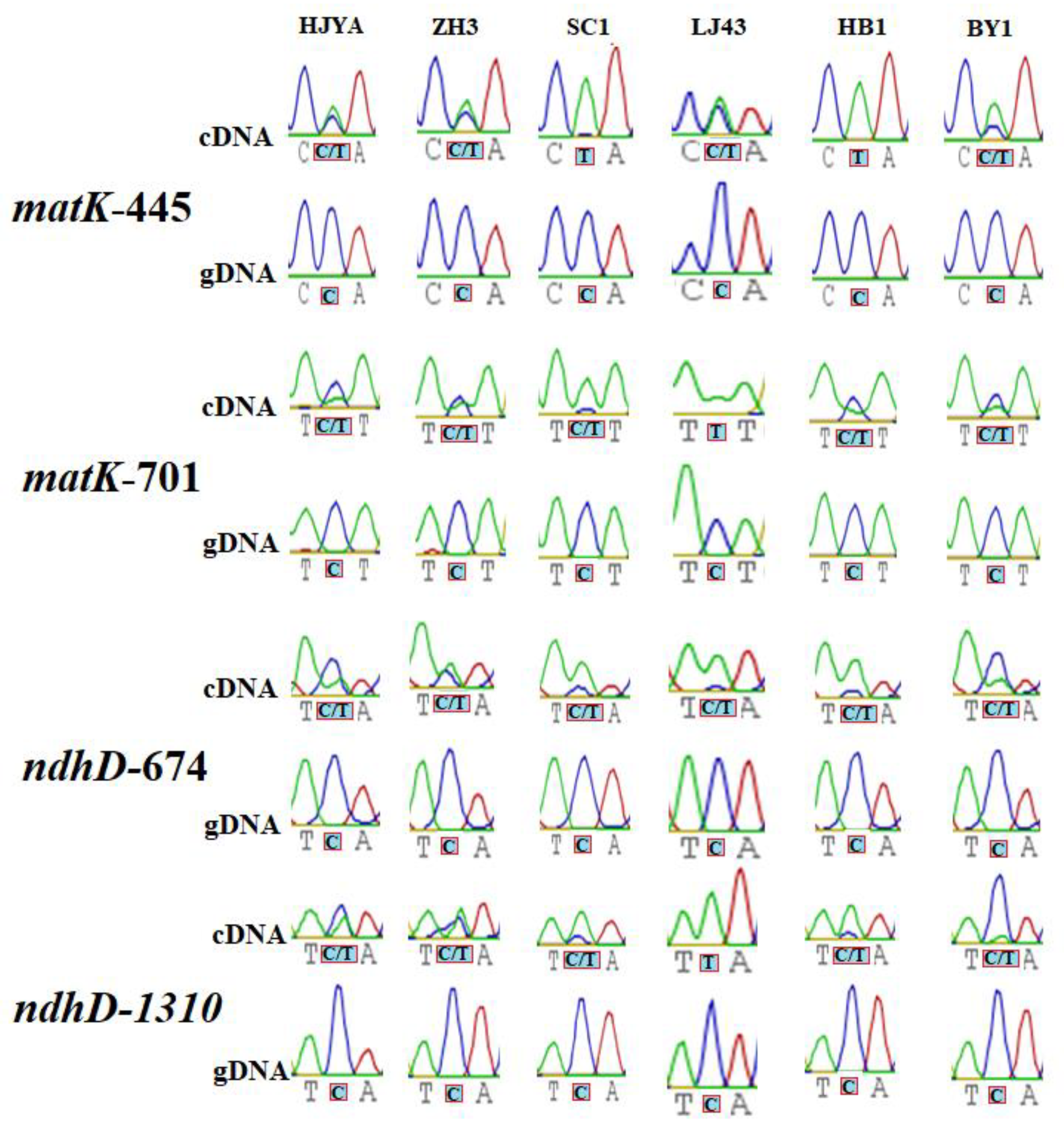 Ijms 23 13640 g005 Ijms 23 13640 g005