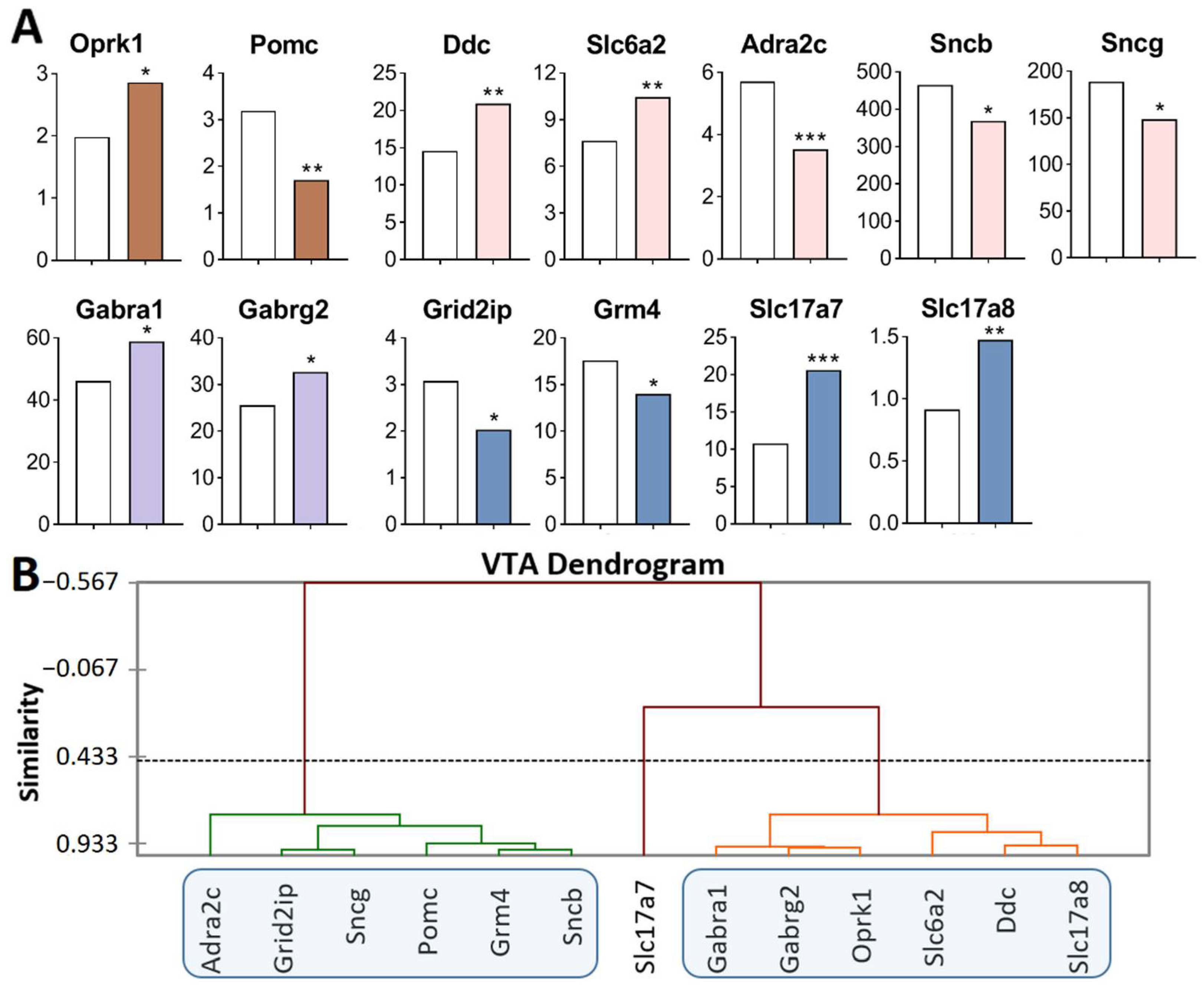 Ijms 23 13644 g001 Ijms 23 13644 g001