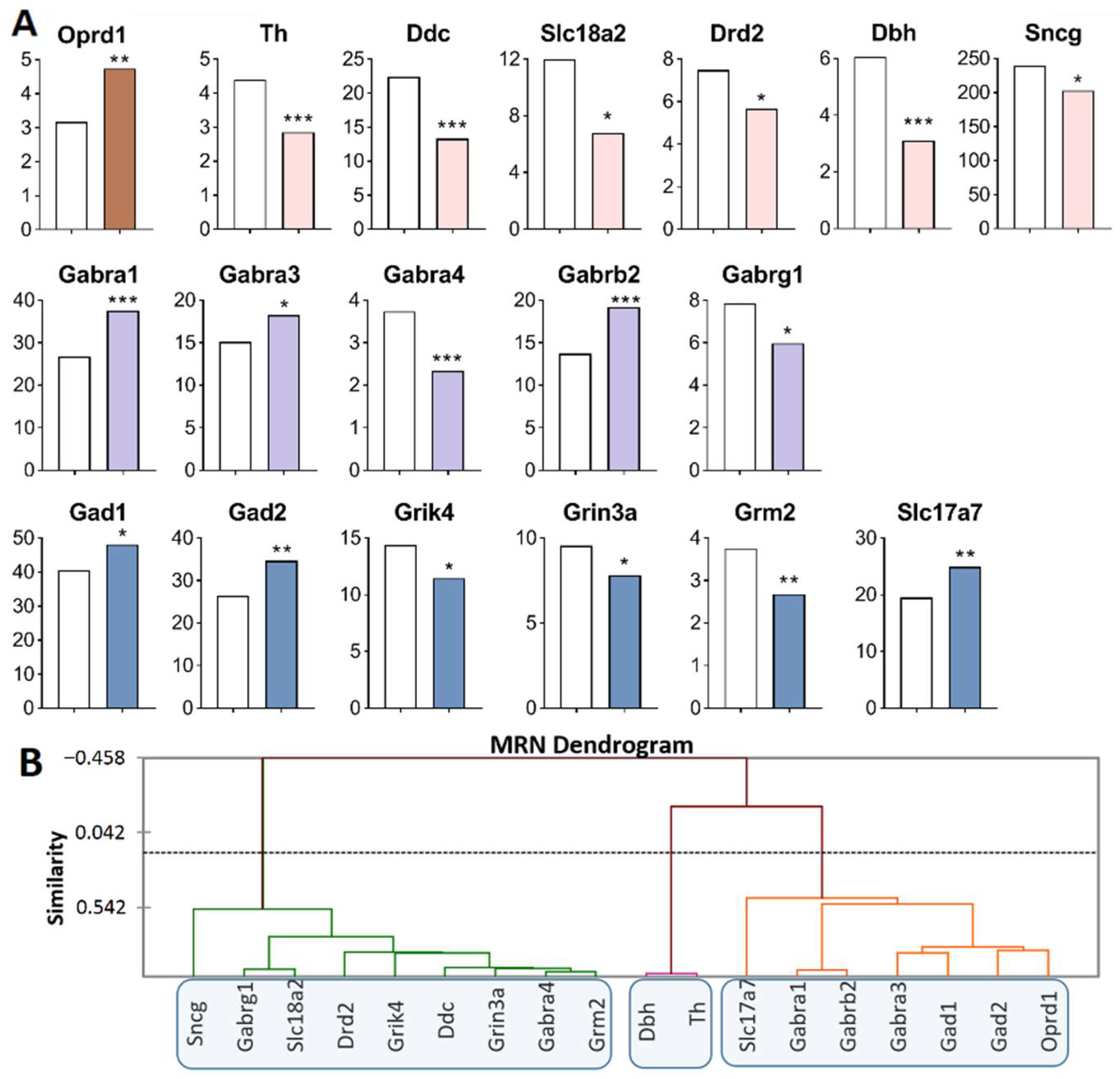 Ijms 23 13644 g005 Ijms 23 13644 g005