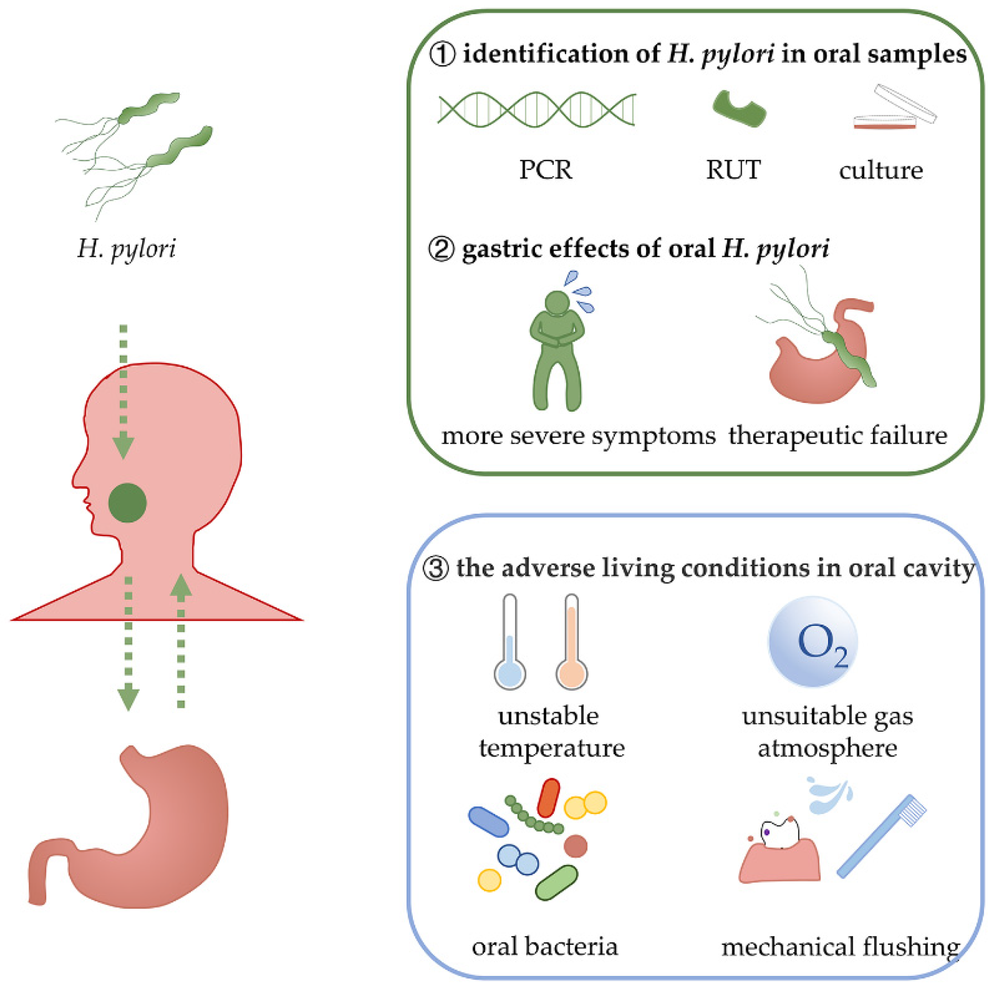 Highlighting Dual therapy based Helicobacter Pylori 47 OFF highlighting-dual-therapy-based-helicobacter-pylori-47-off