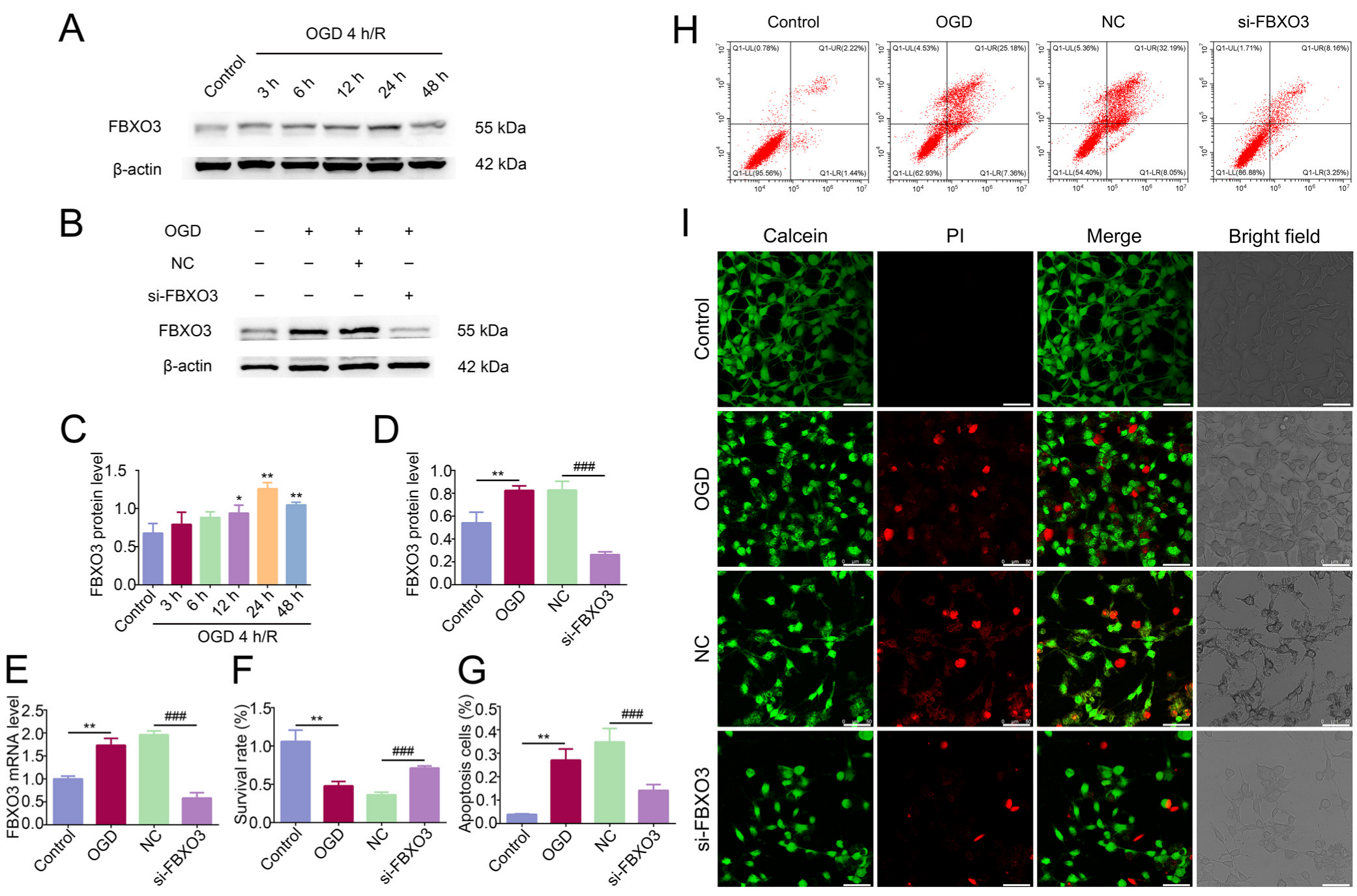 Ijms 23 13648 g003 Ijms 23 13648 g003