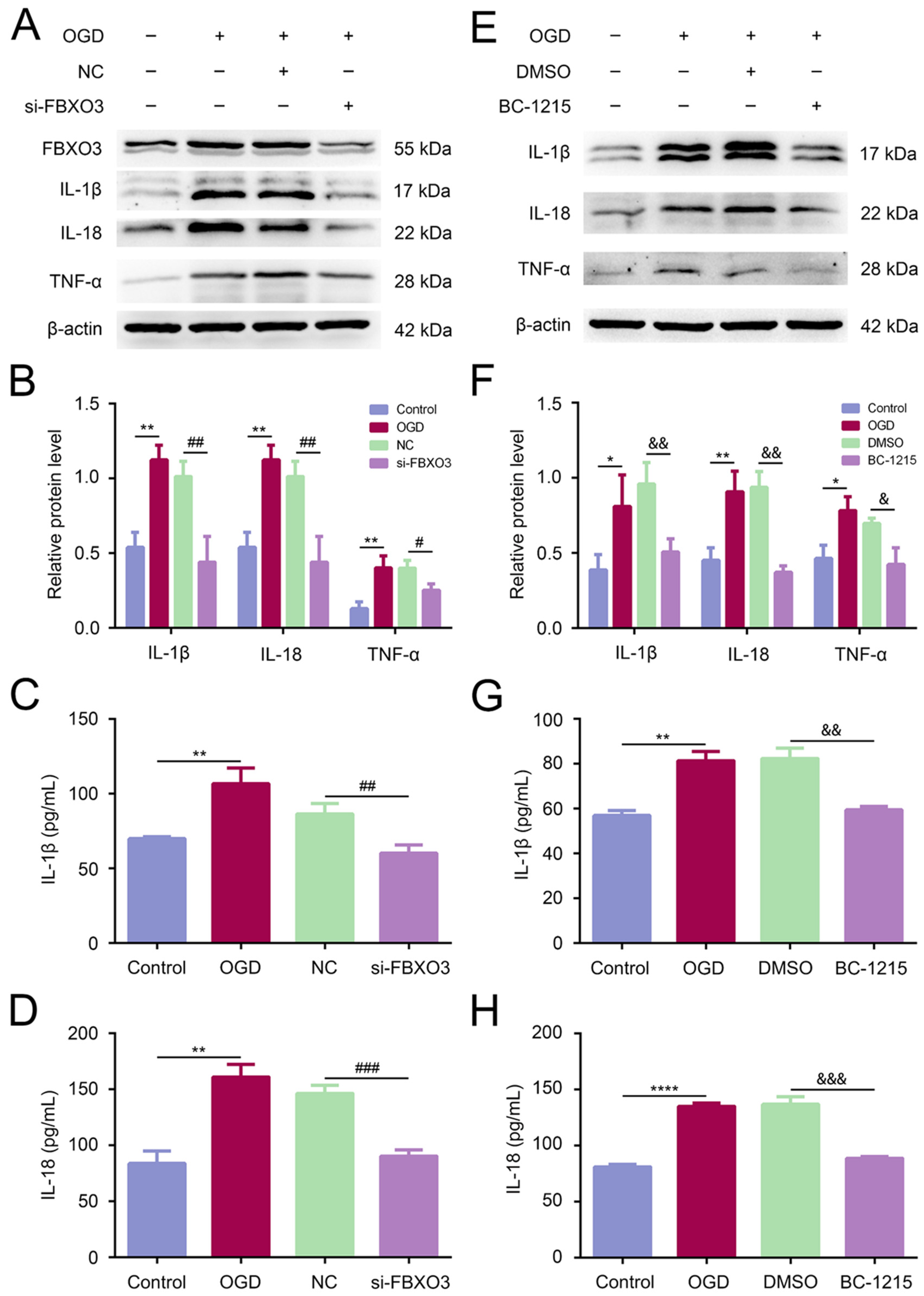 Ijms 23 13648 g005 Ijms 23 13648 g005
