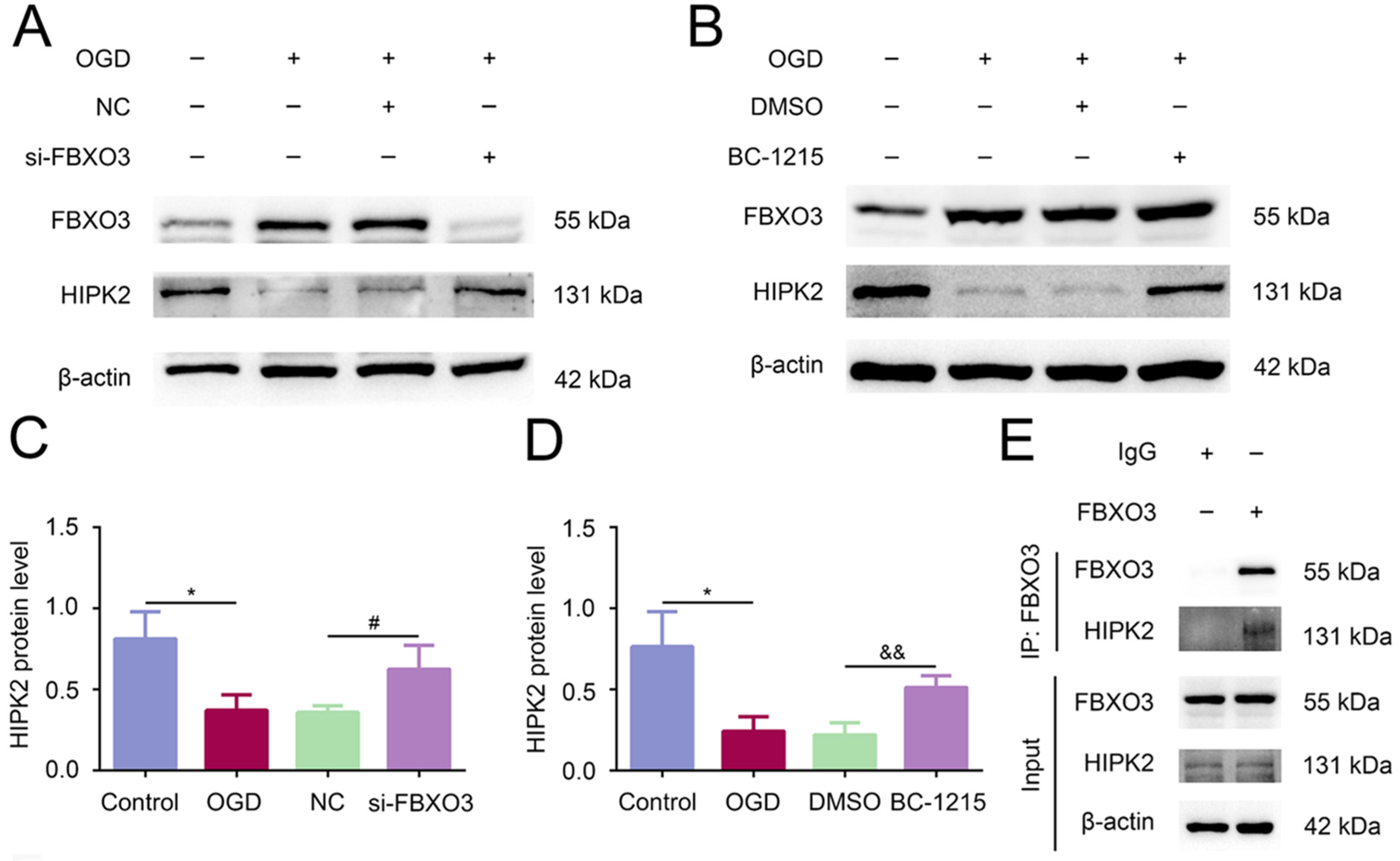 Ijms 23 13648 g006a Ijms 23 13648 g006a