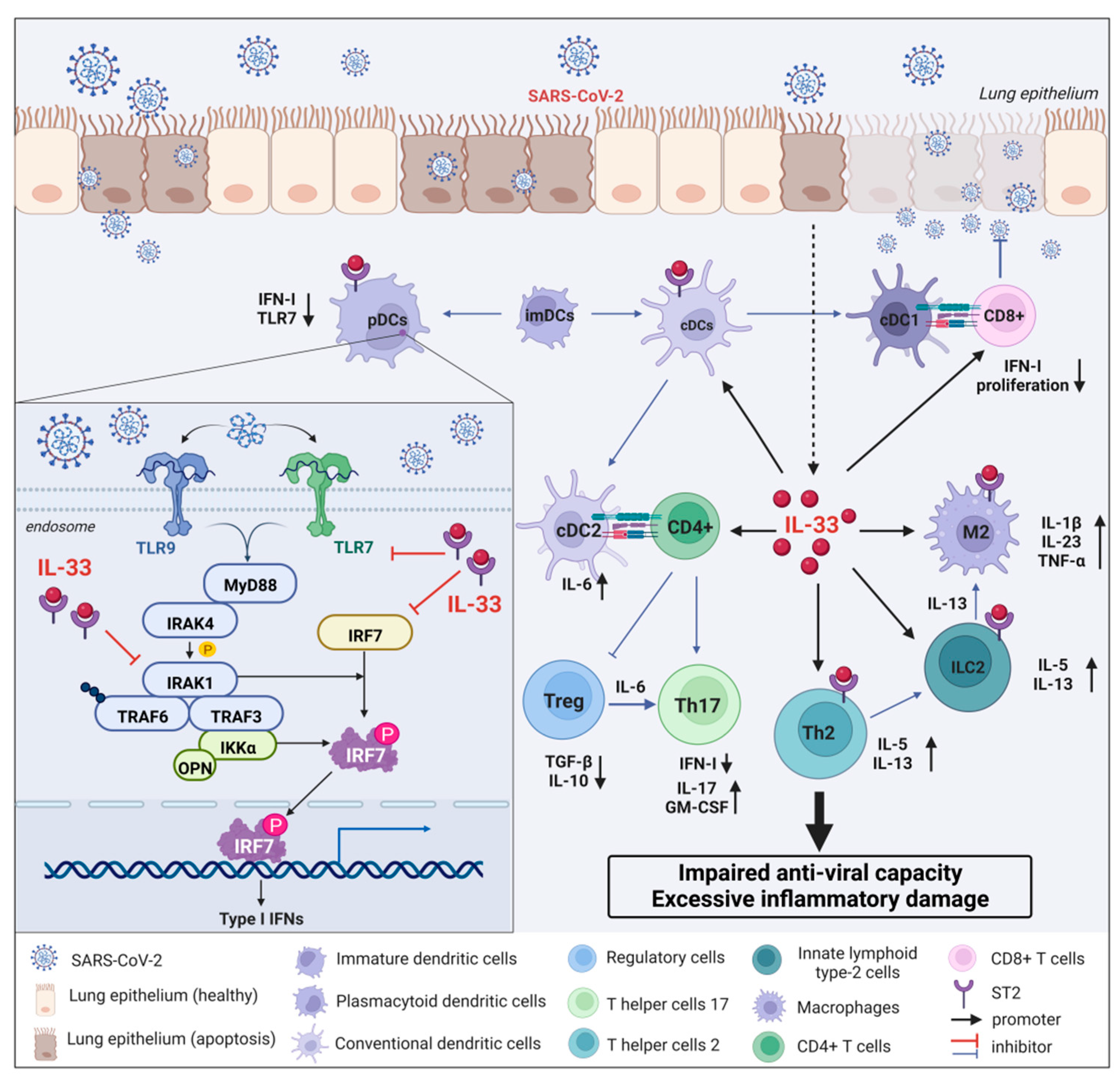 Ijms 23 13656 g004 Ijms 23 13656 g004