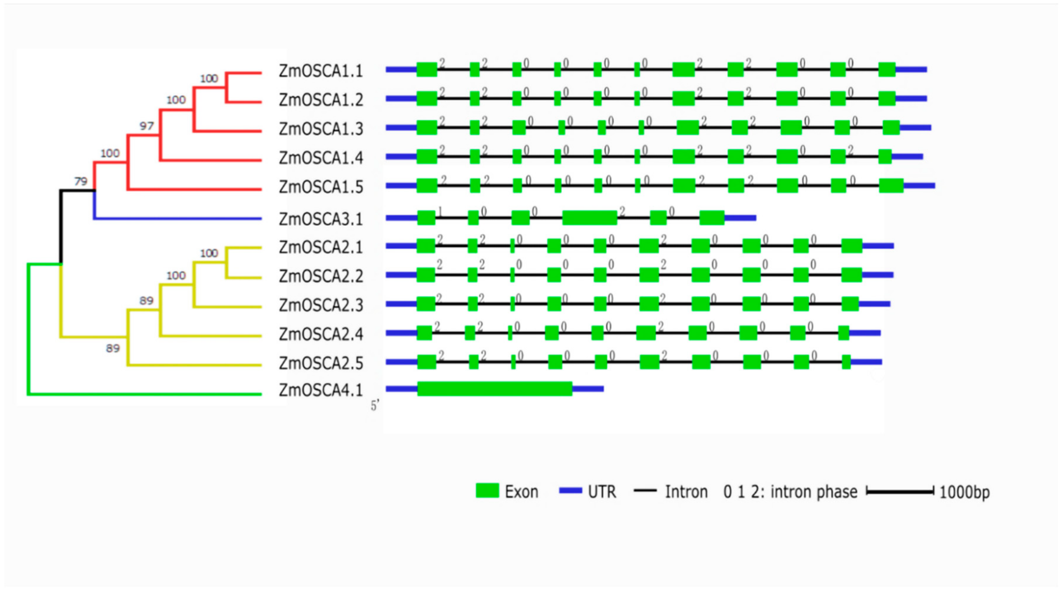 Ijms 23 13658 g002 Ijms 23 13658 g002