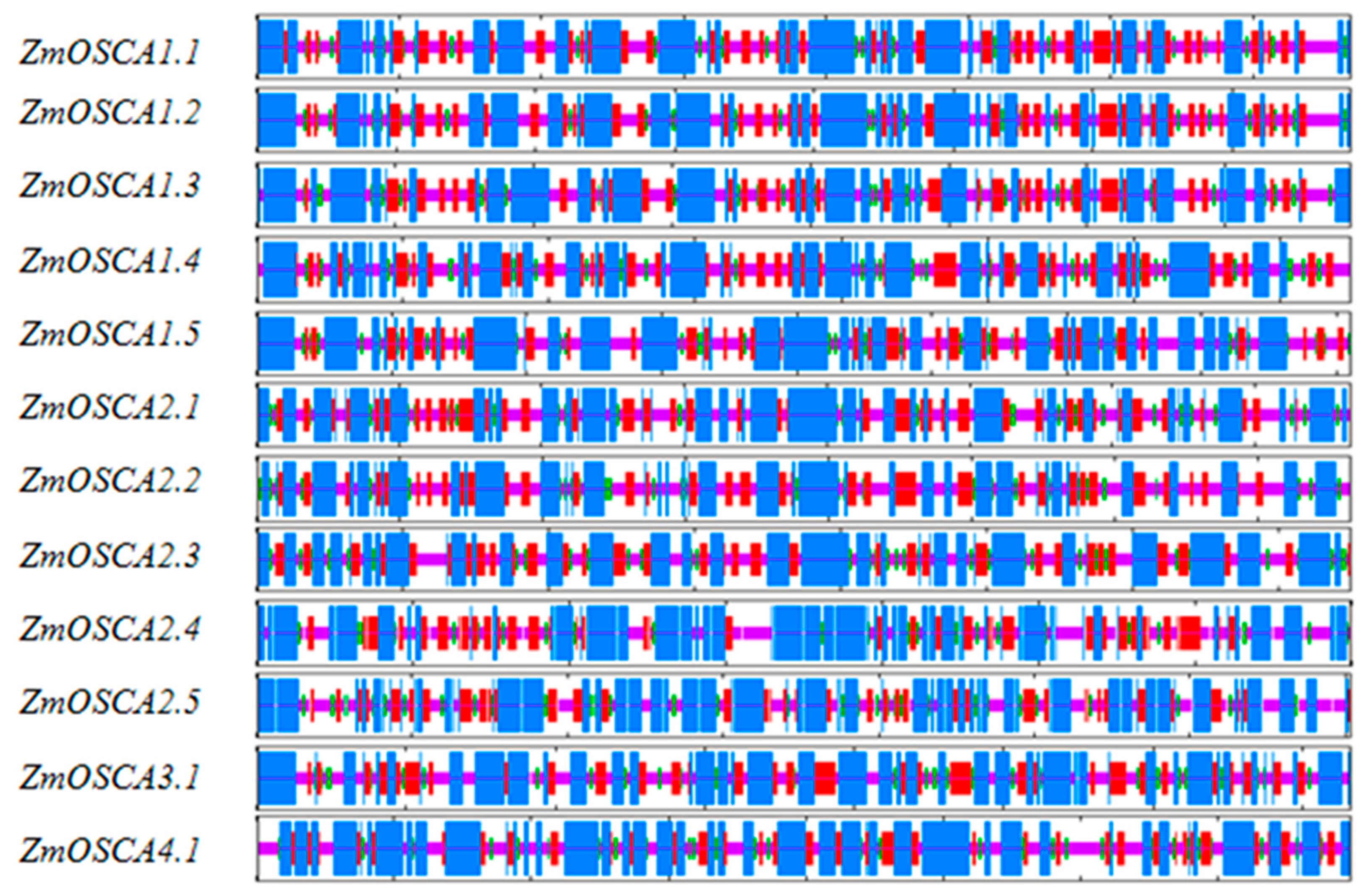 Ijms 23 13658 g004 Ijms 23 13658 g004