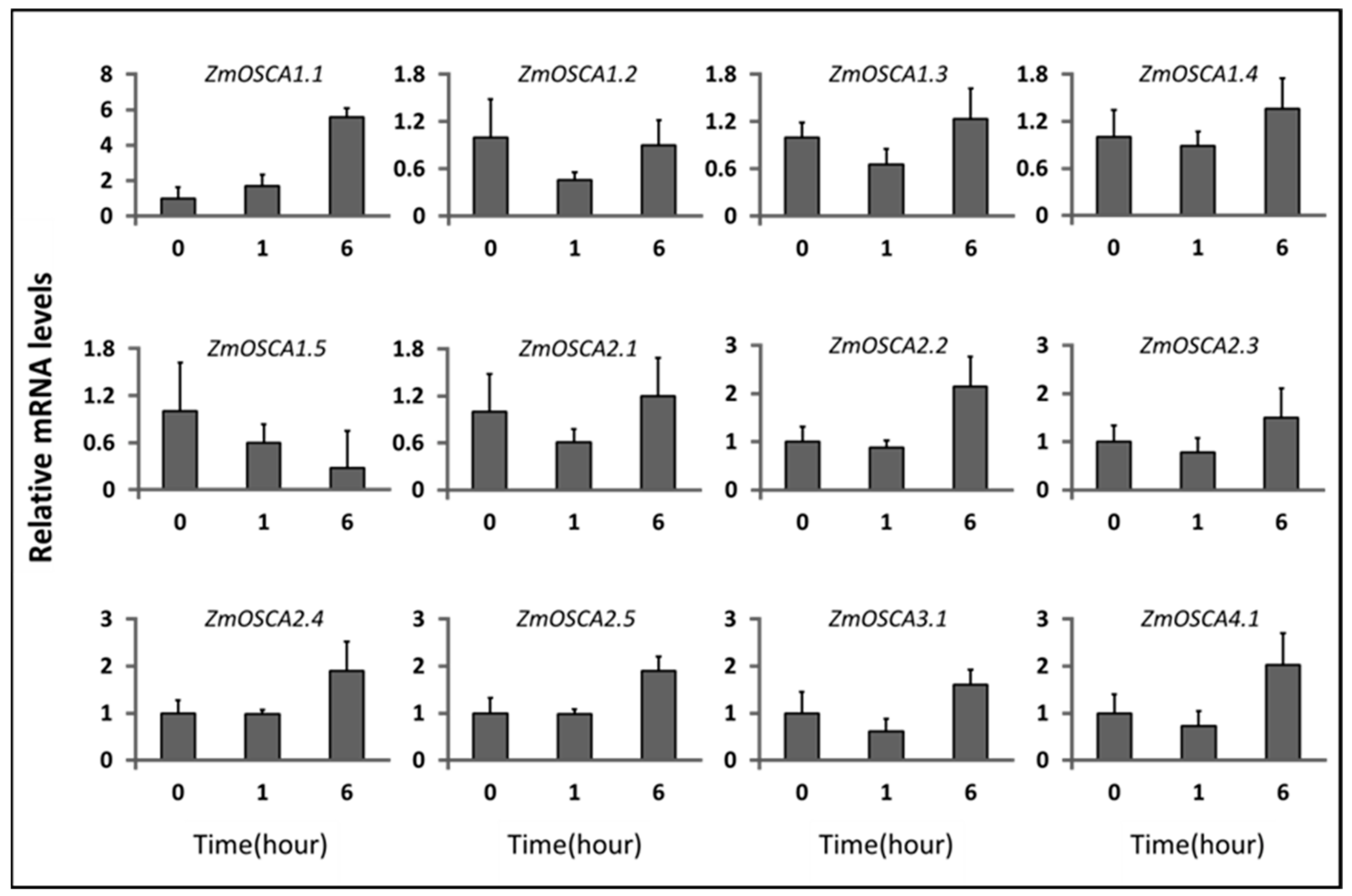 Ijms 23 13658 g006 Ijms 23 13658 g006