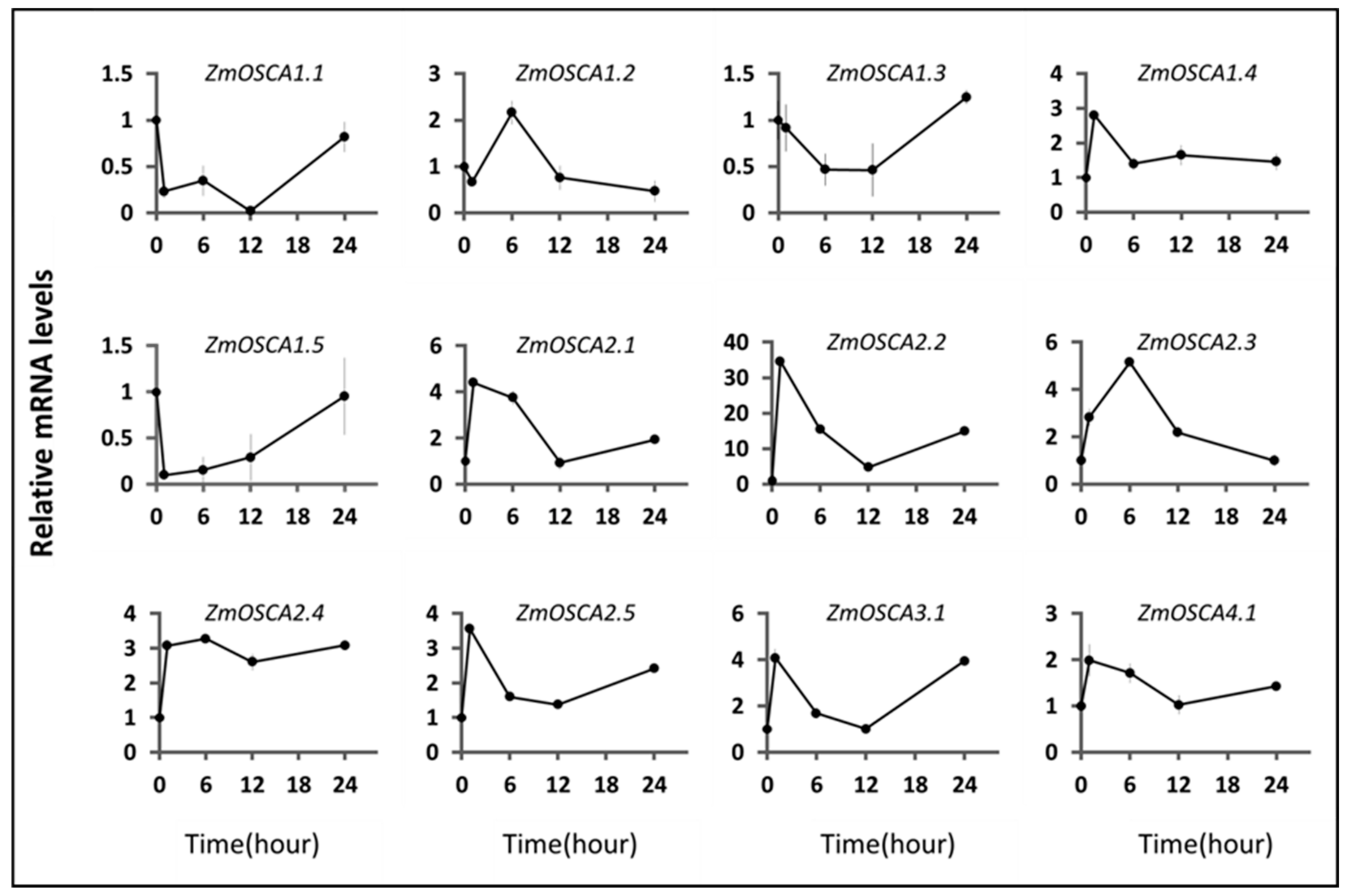 Ijms 23 13658 g008 Ijms 23 13658 g008