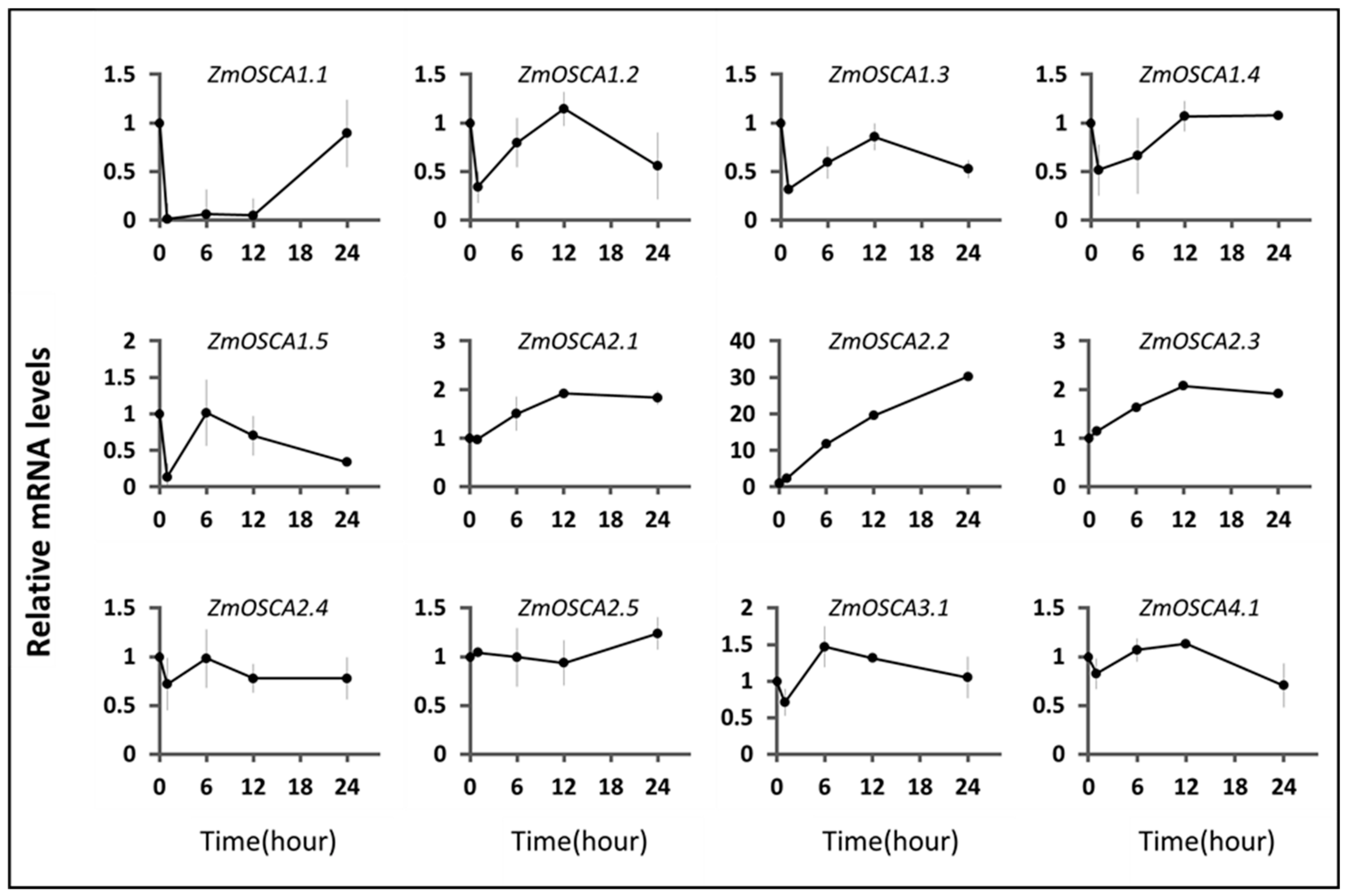 Ijms 23 13658 g009 Ijms 23 13658 g009