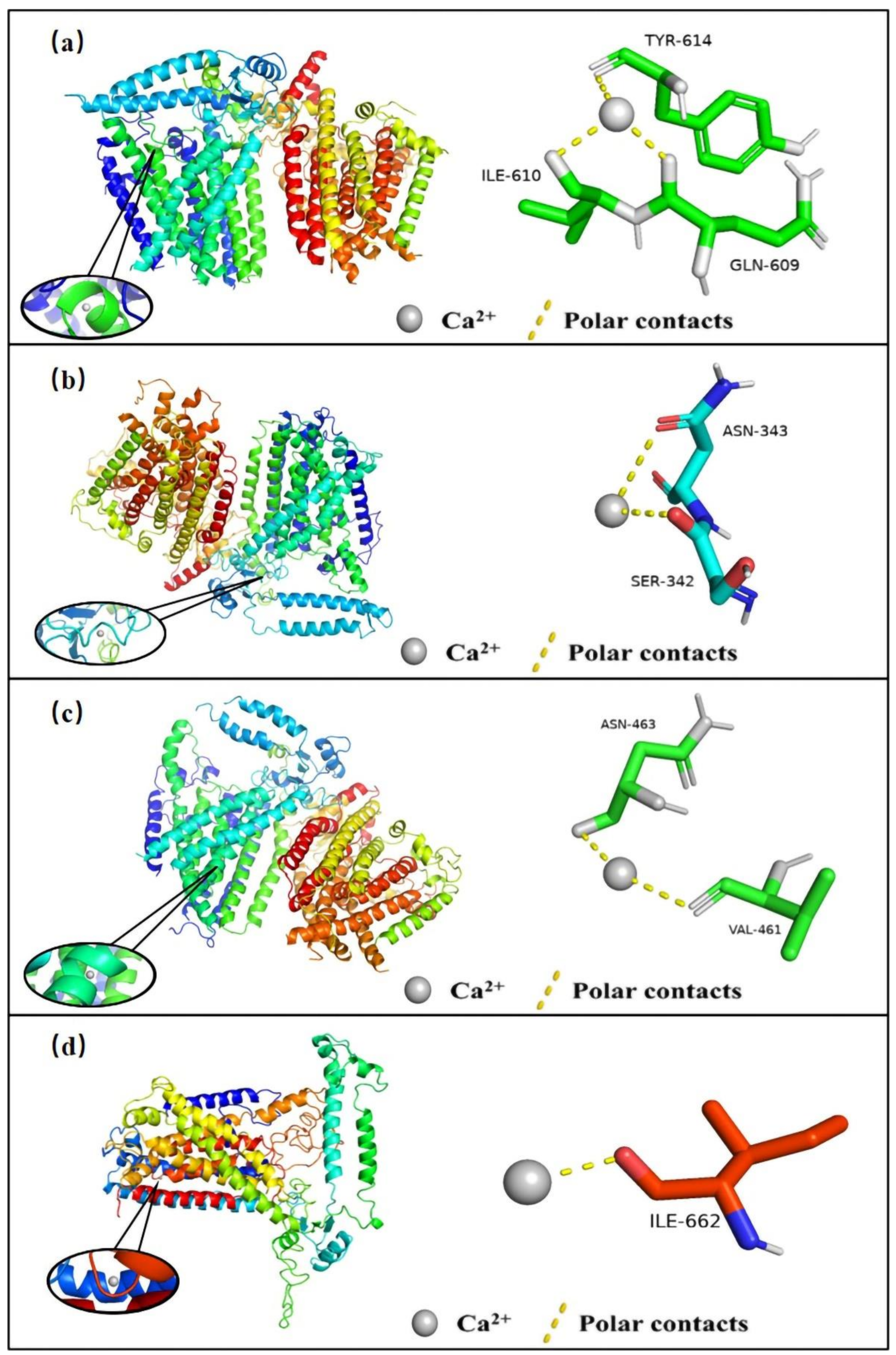 Ijms 23 13658 g010 Ijms 23 13658 g010