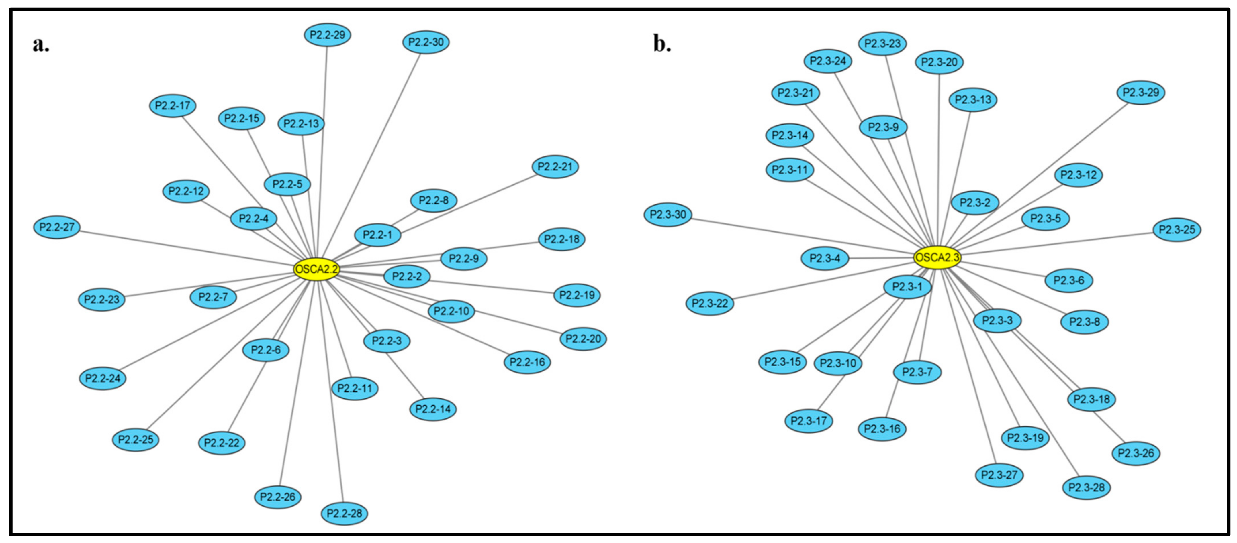 Ijms 23 13658 g011 Ijms 23 13658 g011