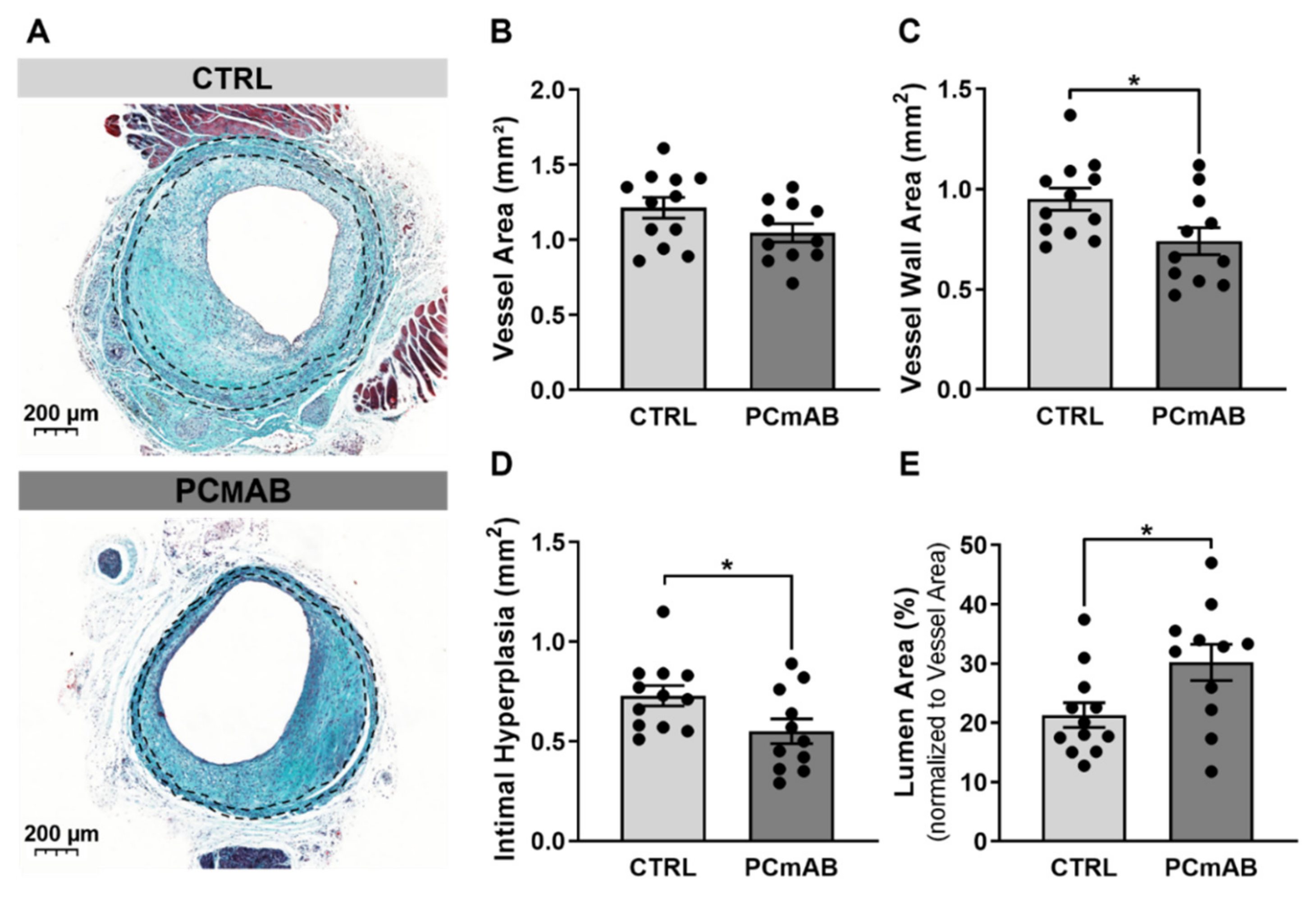 Ijms 23 13662 g001 Ijms 23 13662 g001
