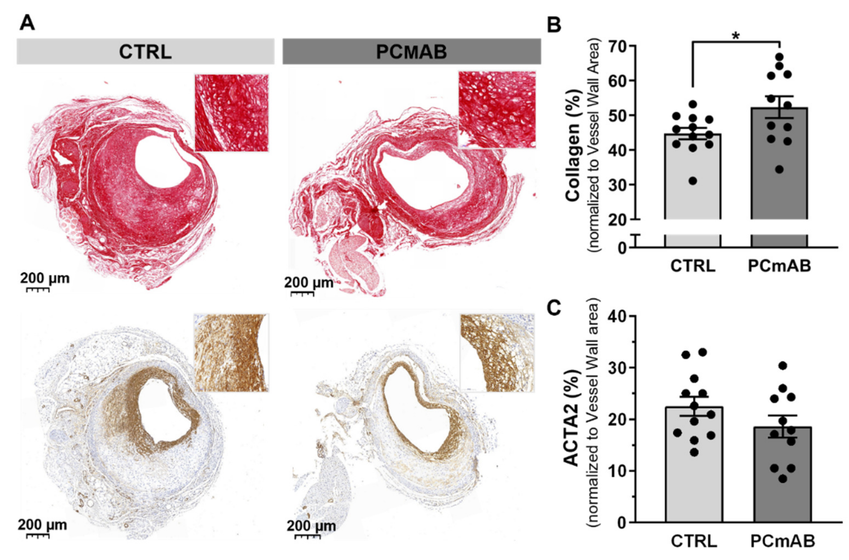 Ijms 23 13662 g002 Ijms 23 13662 g002