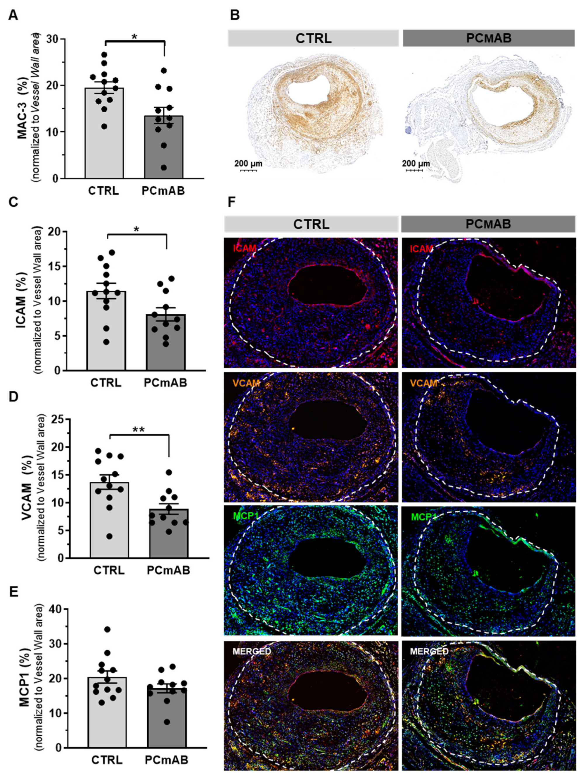 Ijms 23 13662 g003 Ijms 23 13662 g003