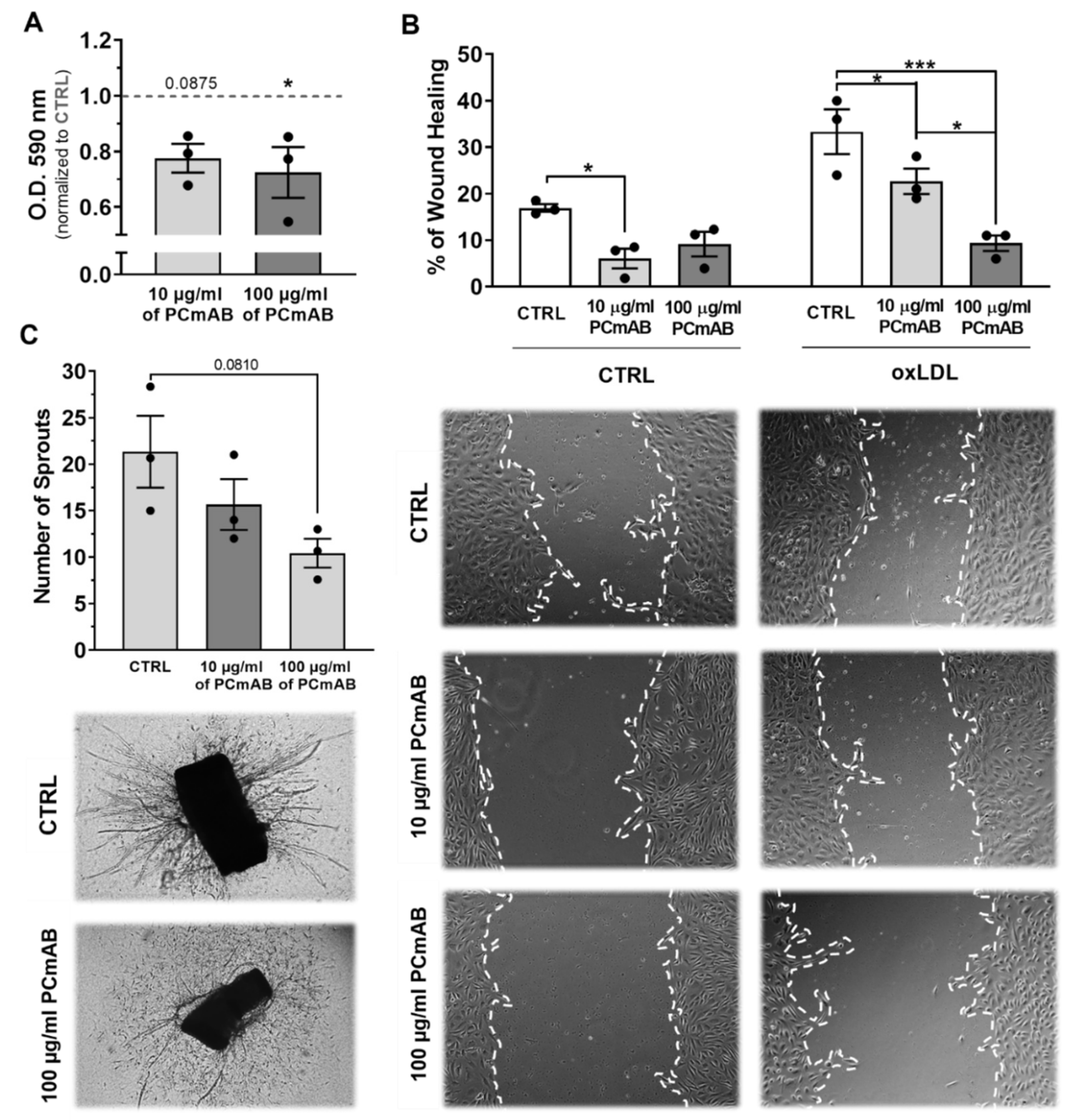 Ijms 23 13662 g005 Ijms 23 13662 g005